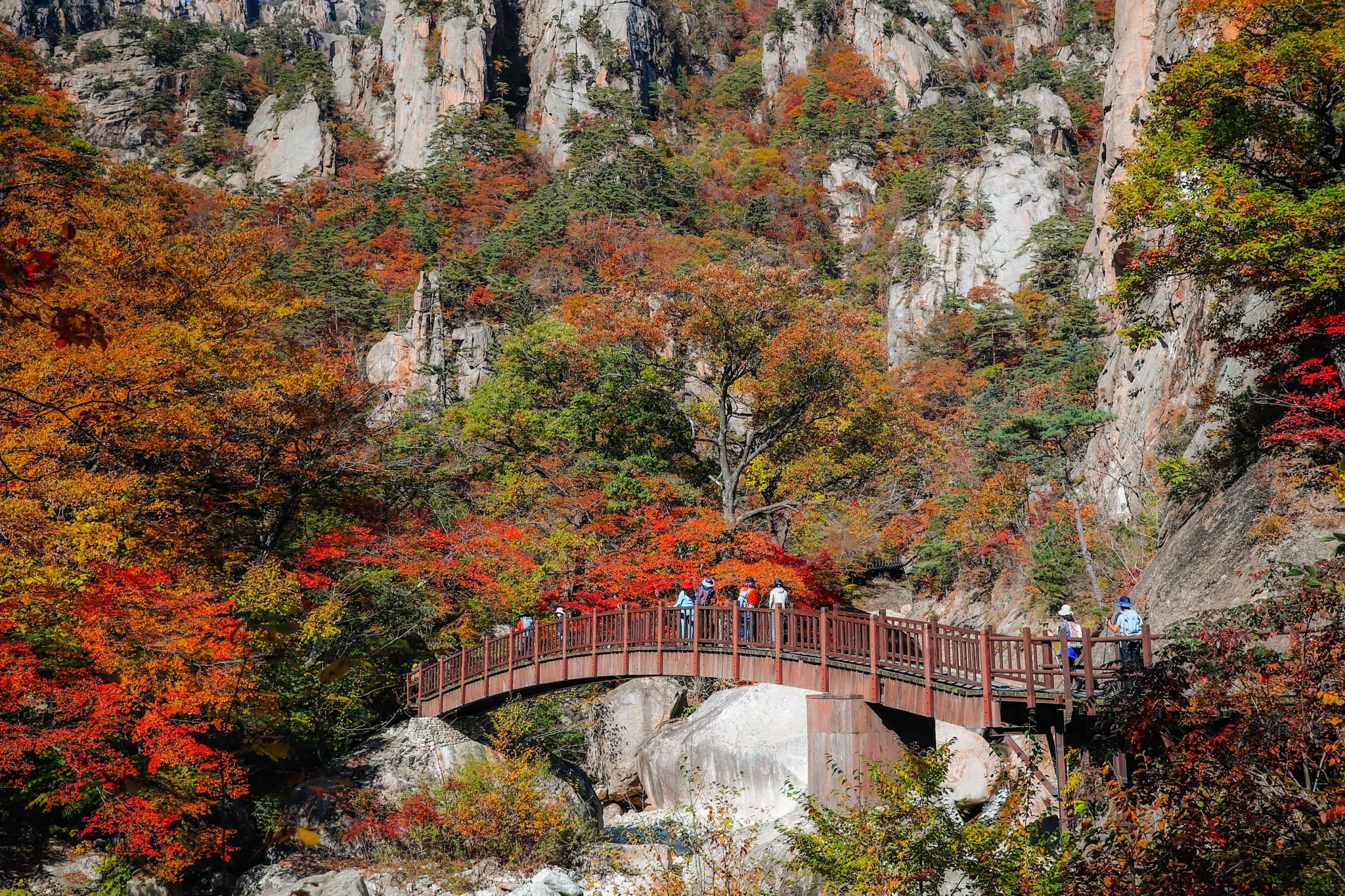 Nami Island, Mount Seorak, and Garden of Morning Calm Full-Day Tour from Seoul - image 4