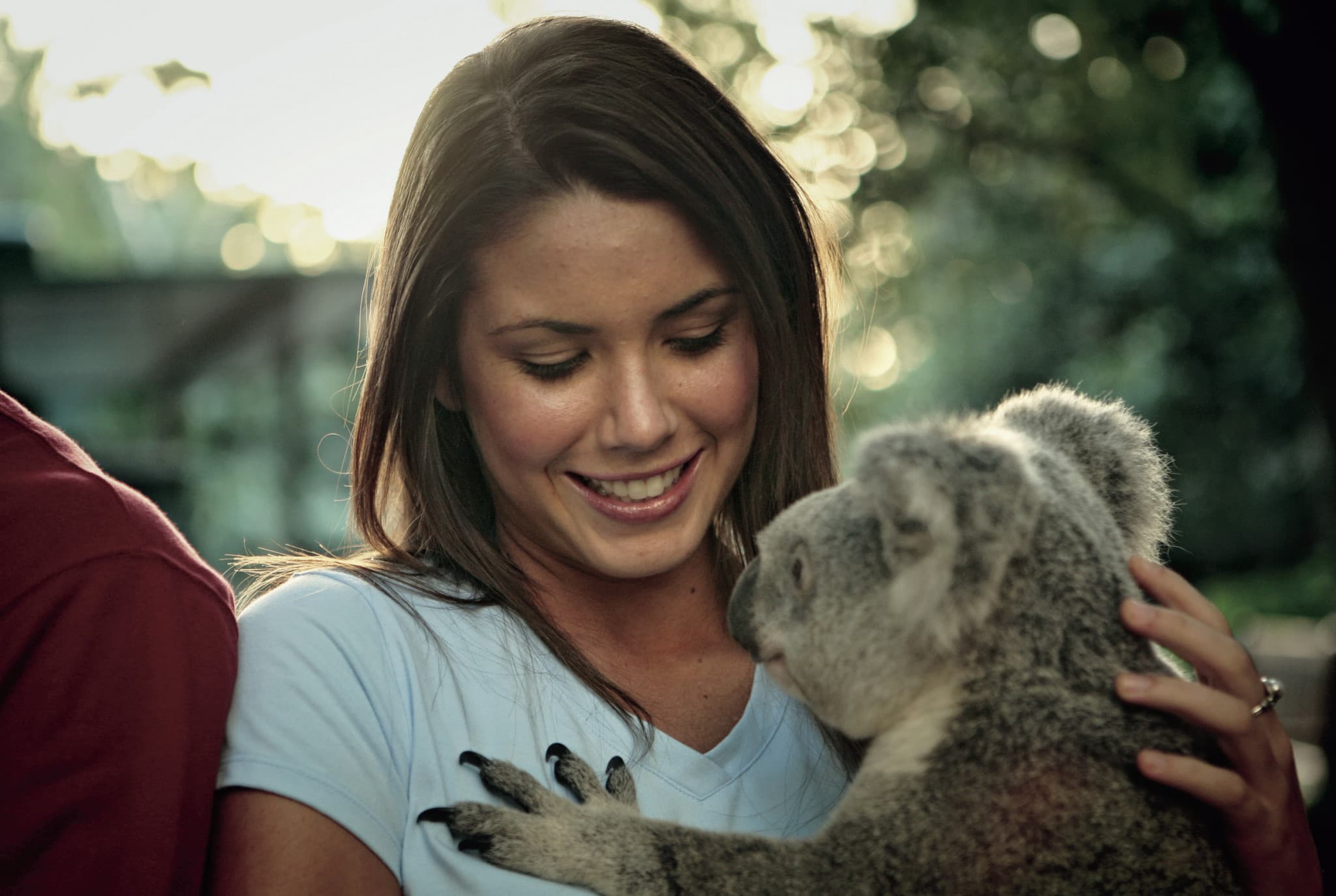 Currumbin Wildlife Sanctuary Gold Coast Ticket - image 3