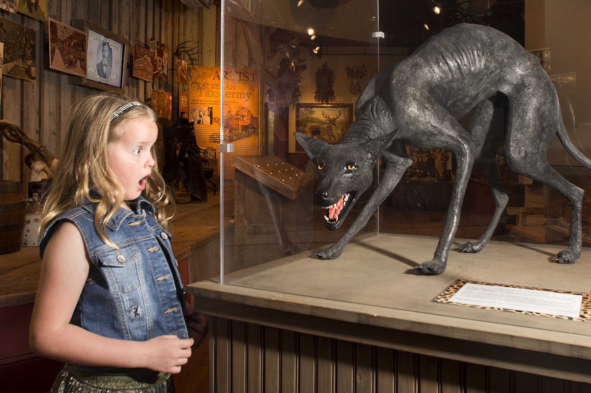 Go City San Antonio Highlights Pass: 3 Attractions - image 14