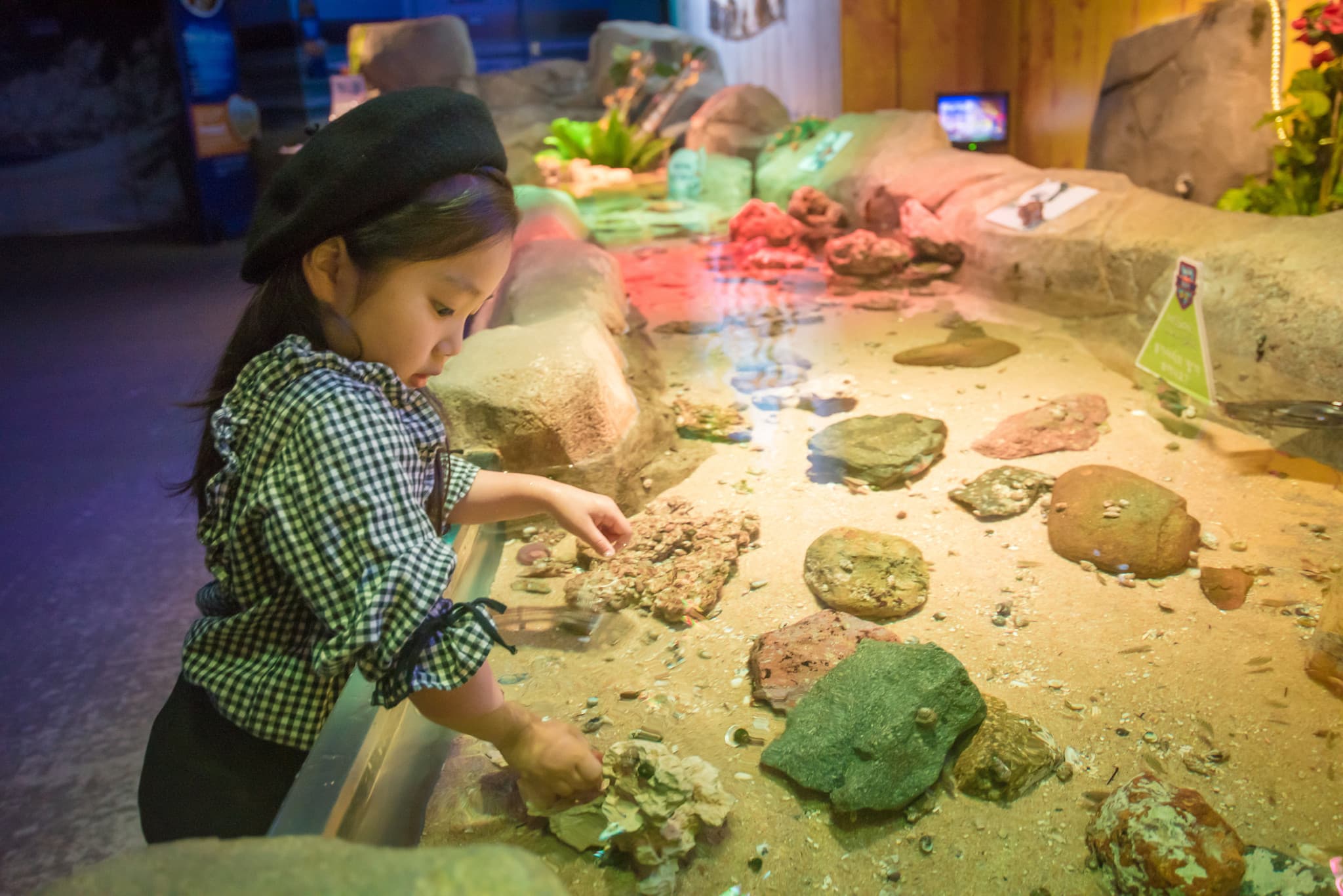 SEA LIFE Busan Aquarium Ticket - image 5