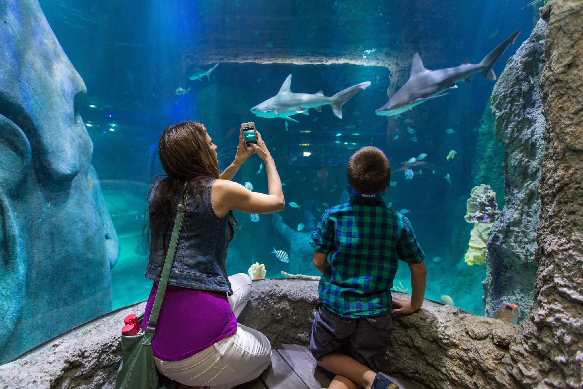 Go City Orlando Essentials Pass: 3 Attractions - image 13