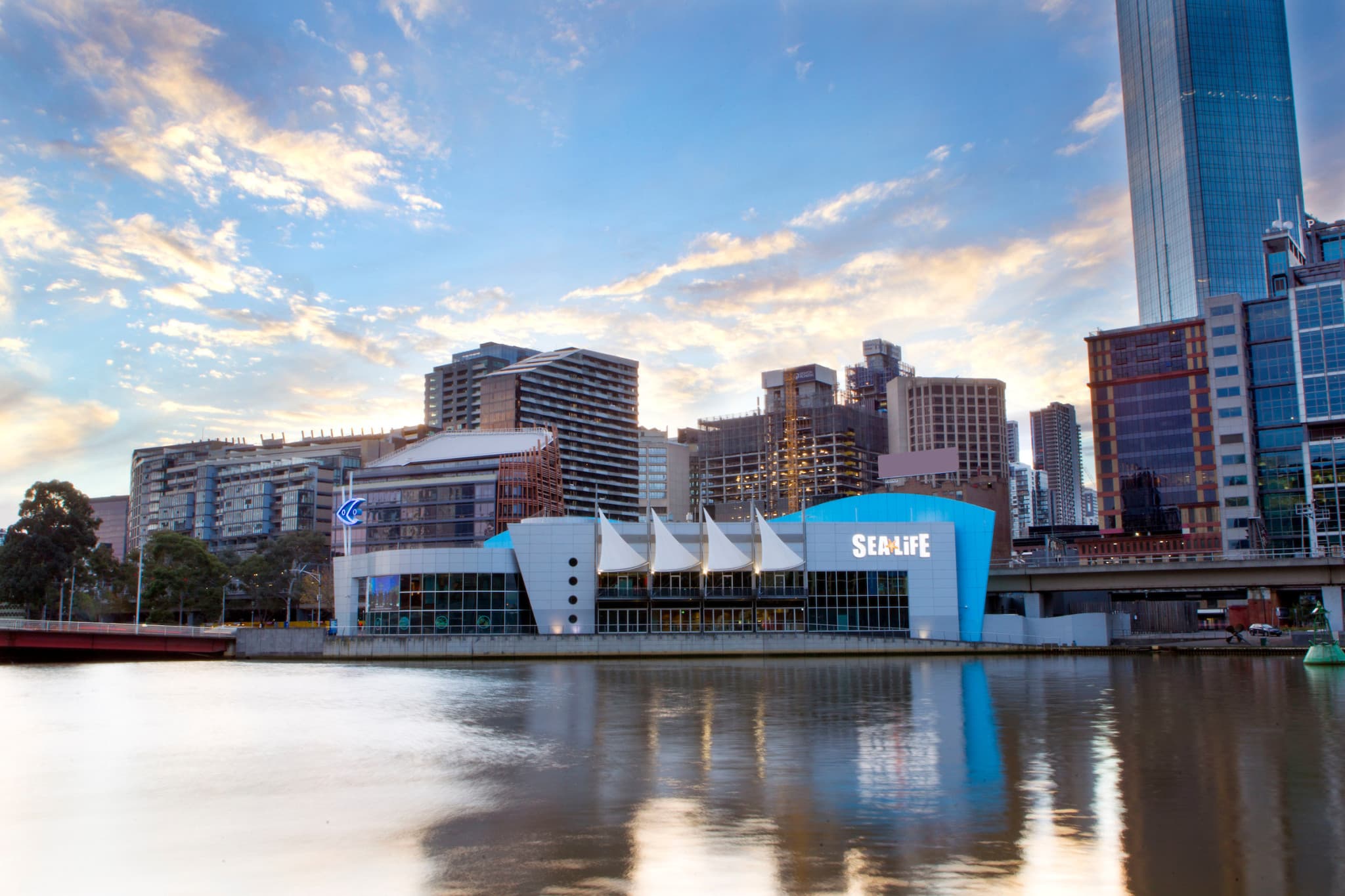 SEA LIFE Melbourne Aquarium Direct Entry Ticket - image 19