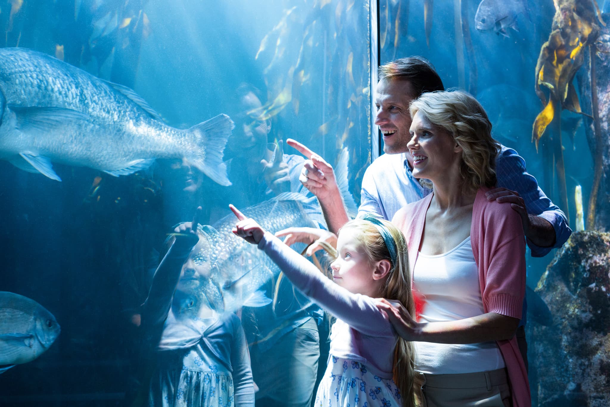 Go City Chicago All-Inclusive Pass: Save up to 50% on Attractions - image 3