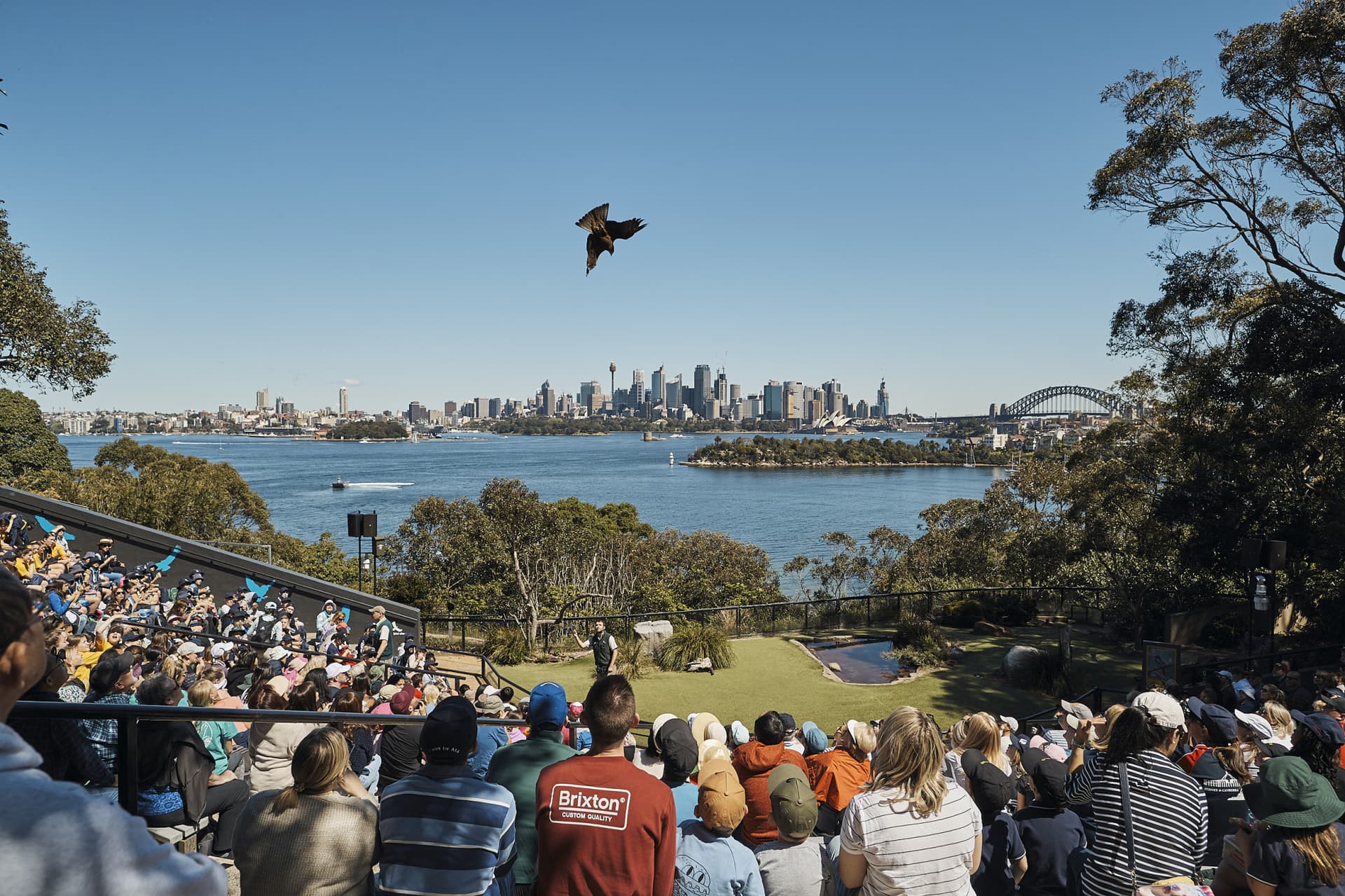 Go City Sydney Essentials Pass: 3 atracciones - imagen 6