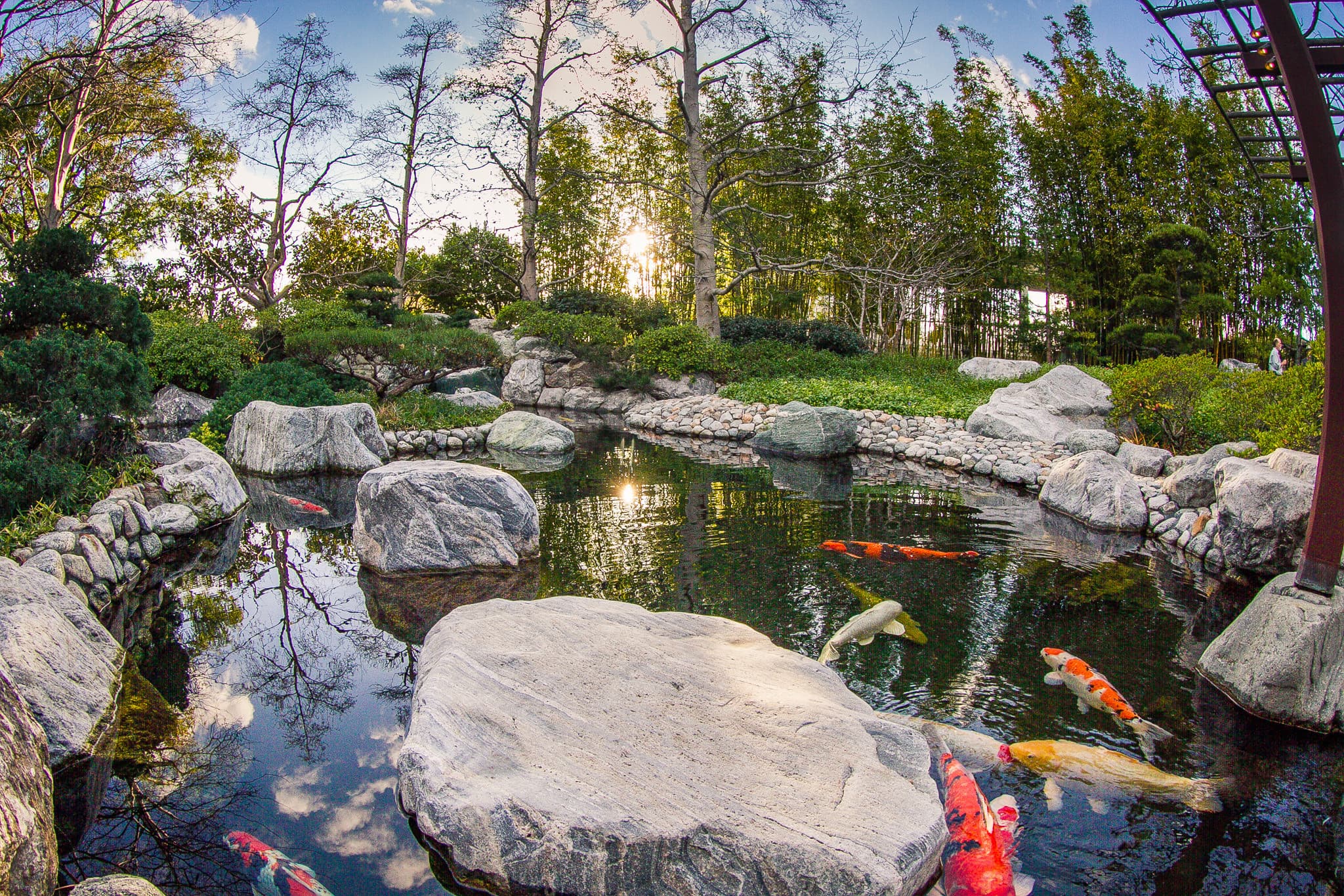 Go City San Diego Explorer Pass: Save up to 50% on Attractions - image 5