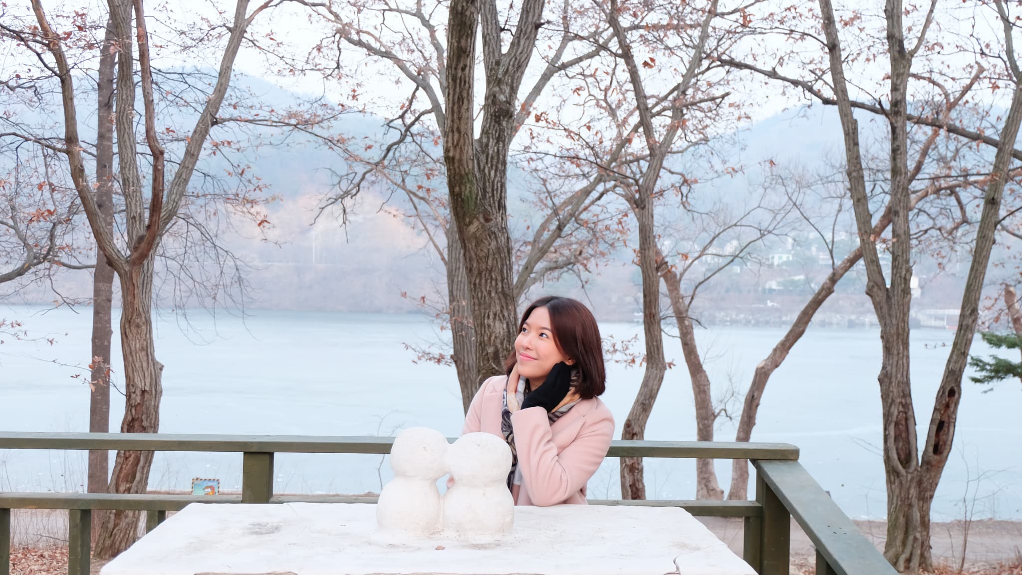 Nami Island, Petite France, Italian Village, and Garden of Morning Calm Tour from Seoul - image 8