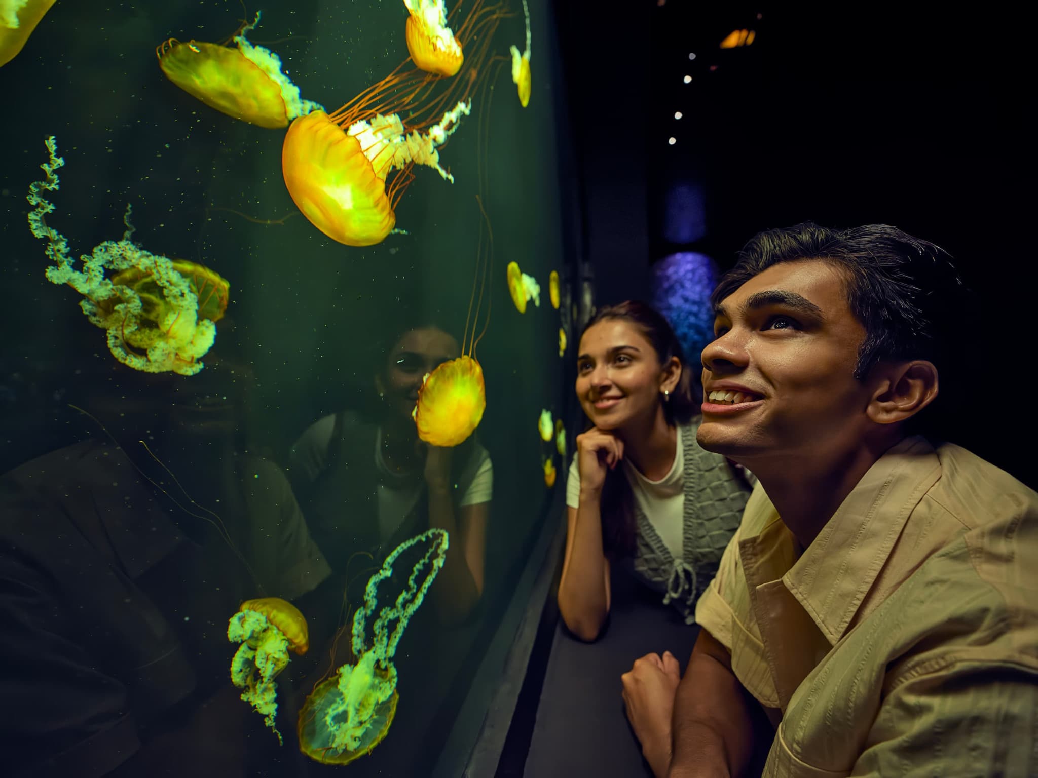 Singapore Oceanarium Ticket - image 11