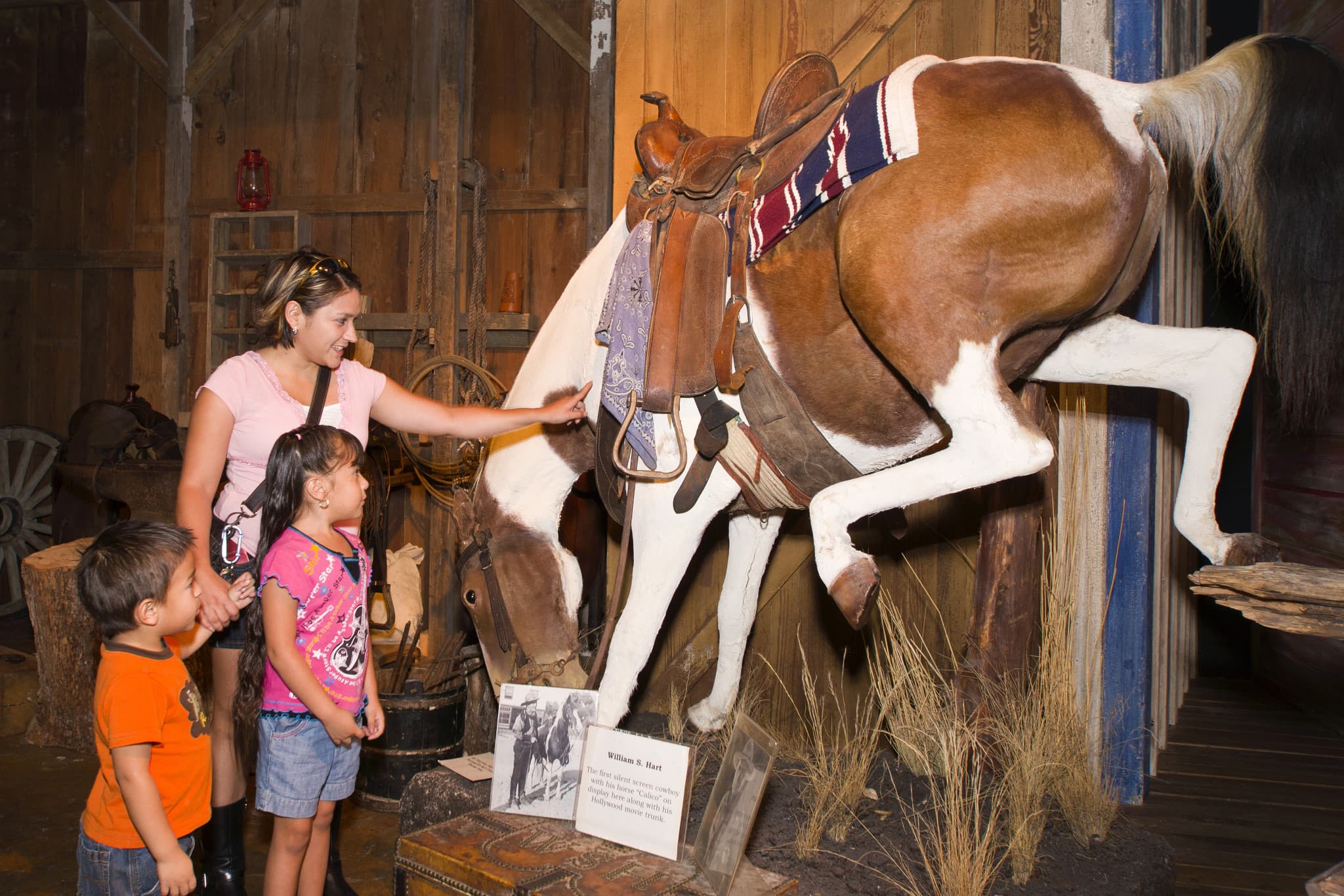 Go City San Antonio Essentials Pass: 3 Attractions - image 16