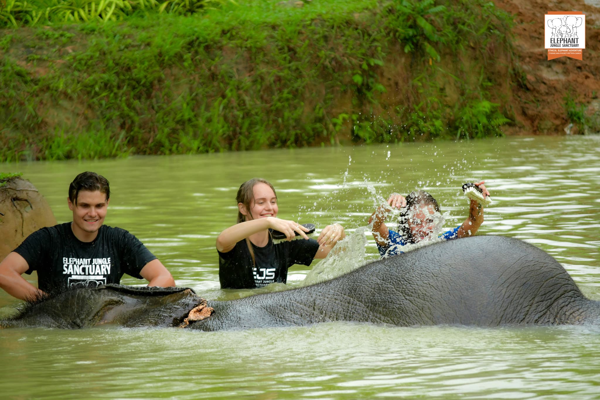Elephant Jungle Sanctuary Phuket - image 8