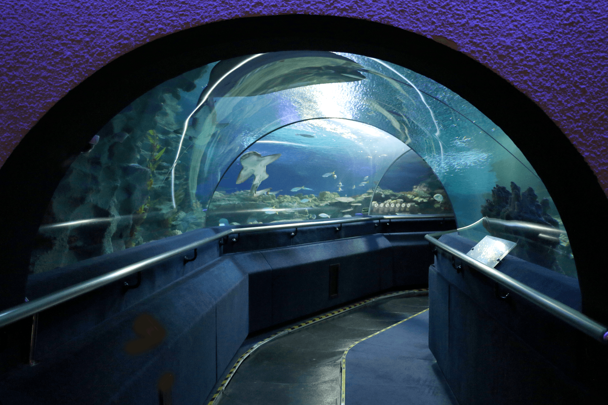 COMBO: KL Hop-on Hop-off Sightseeing Bus Tour + Aquaria KLCC Ticket - image 4