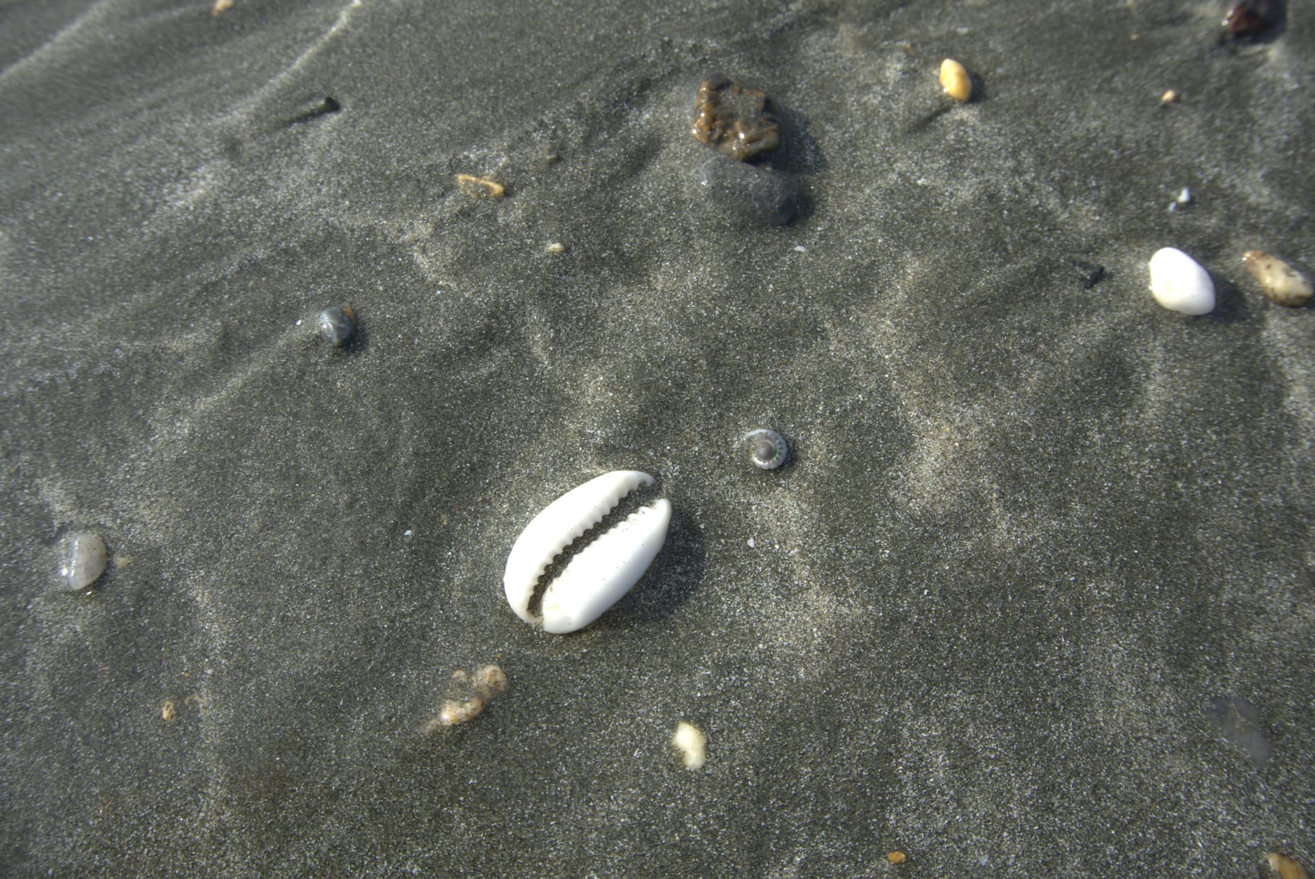 Desaru Beach and Tide Pool Walk - image 20