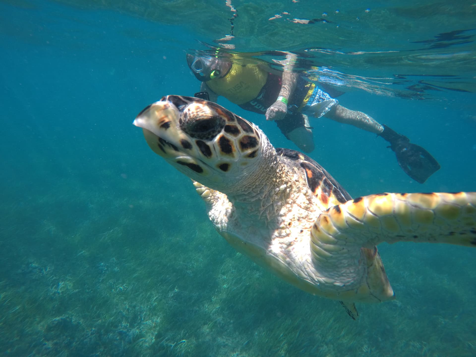 Go City Cancun All-Inclusive Pass: Save up to 50% on Attractions - image 9