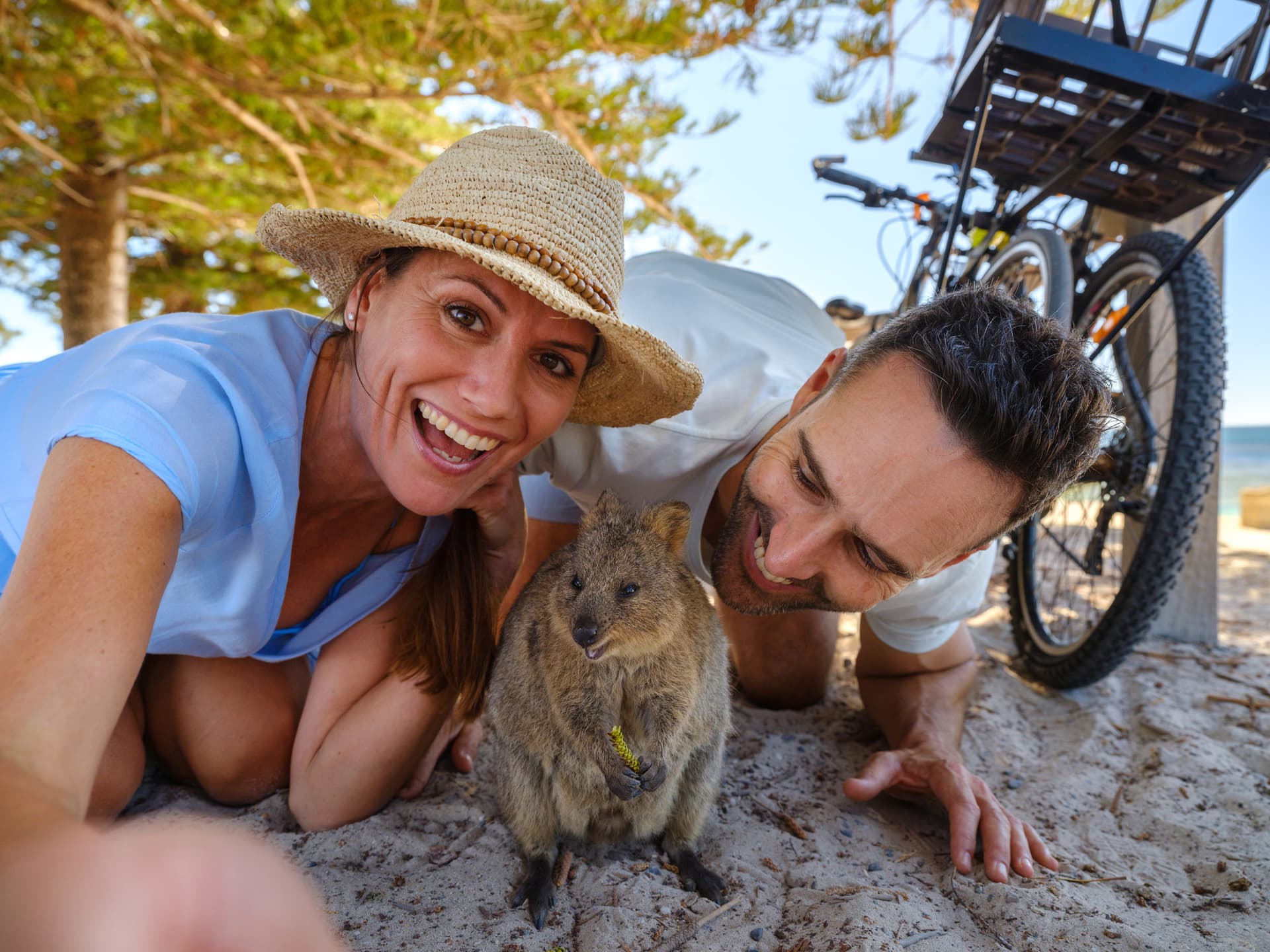 Round Trip SeaLink Ferry Transfer to Rottnest Island with Bike Hire - imagen principal
