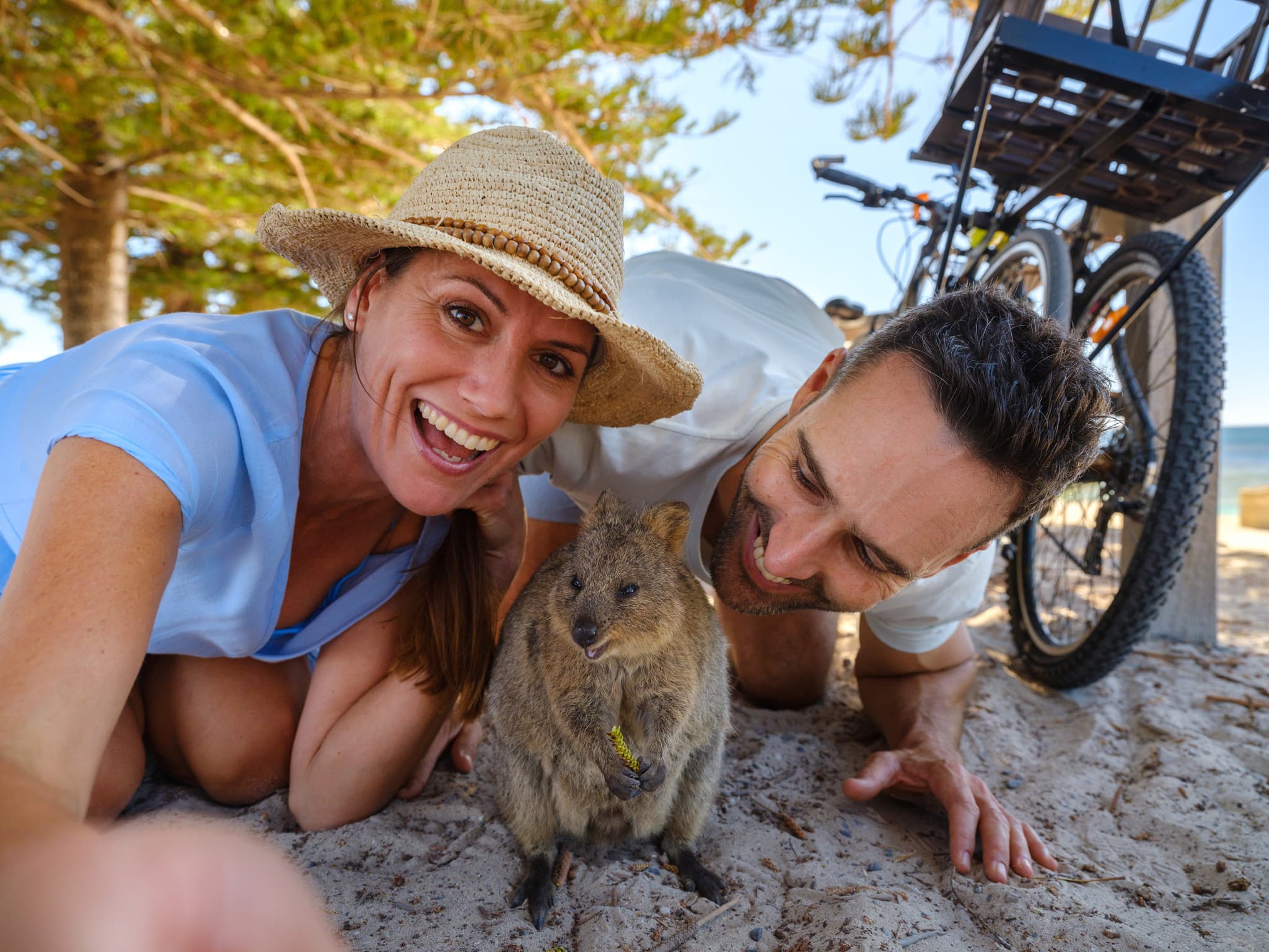 Round Trip SeaLink Ferry Transfer to Rottnest Island with Bike Hire - main image