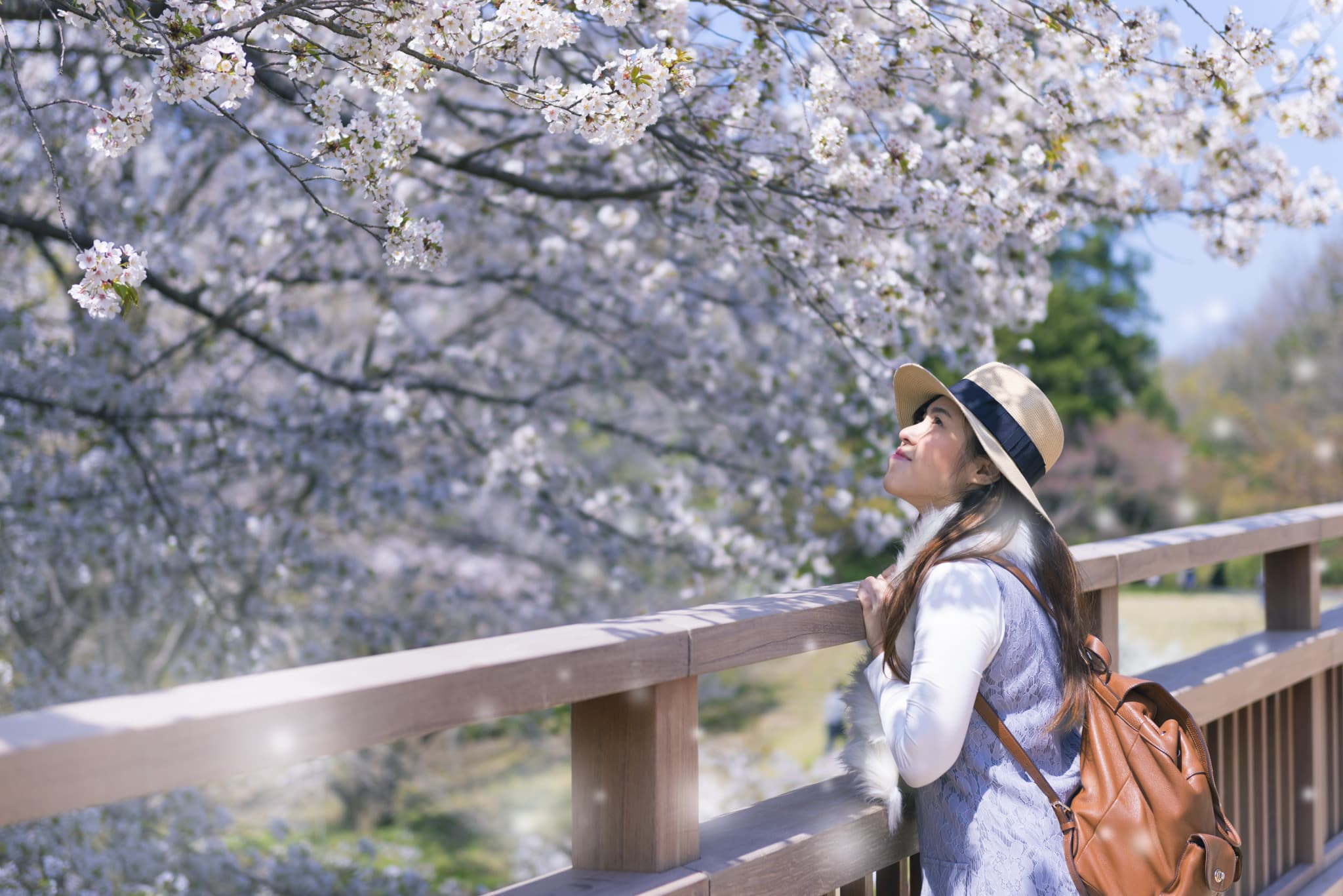 Professional Photo Shoot in Kyoto - image 2