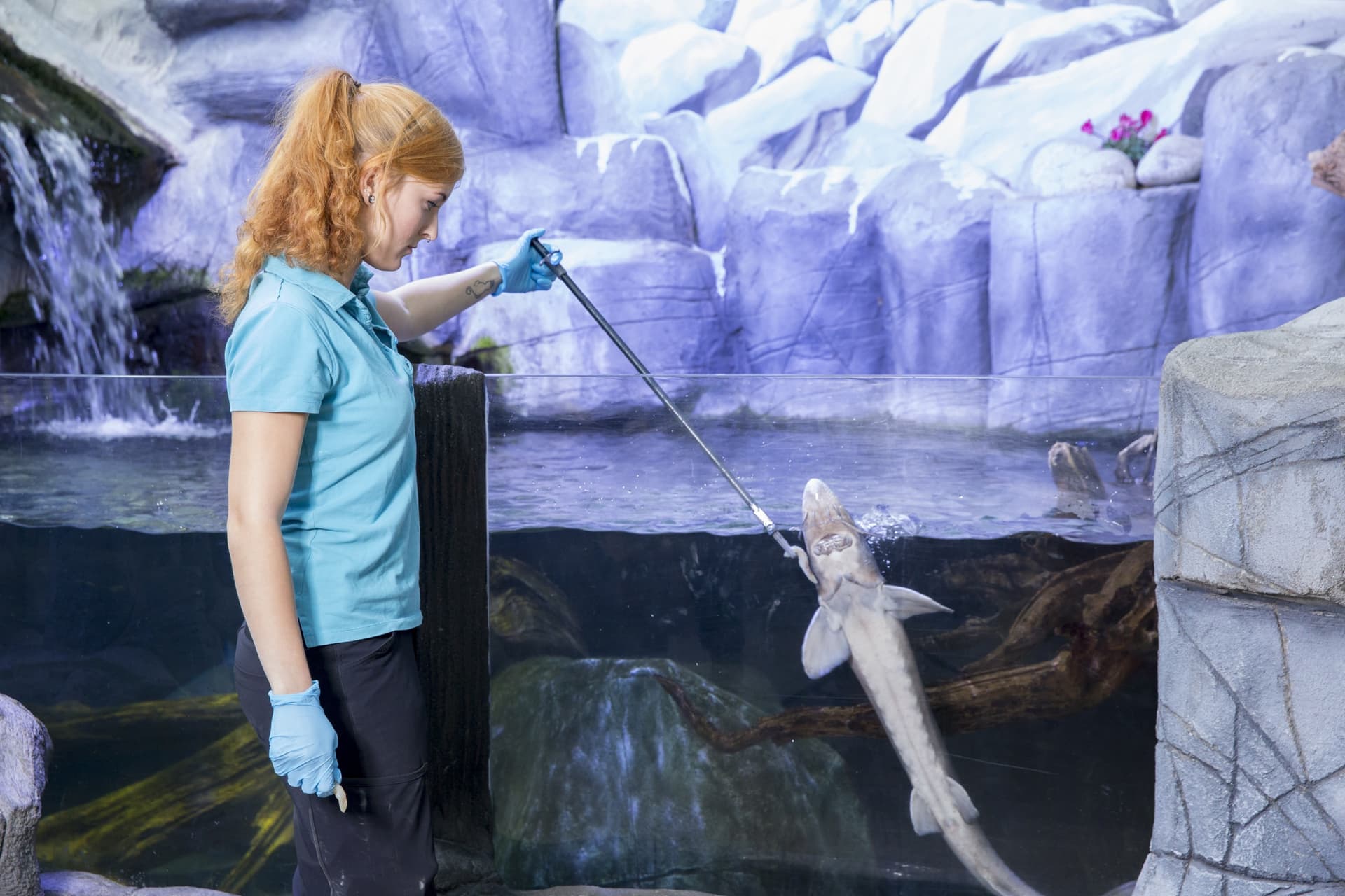 SEA LIFE Oberhausen Aquarium Ticket - image 5