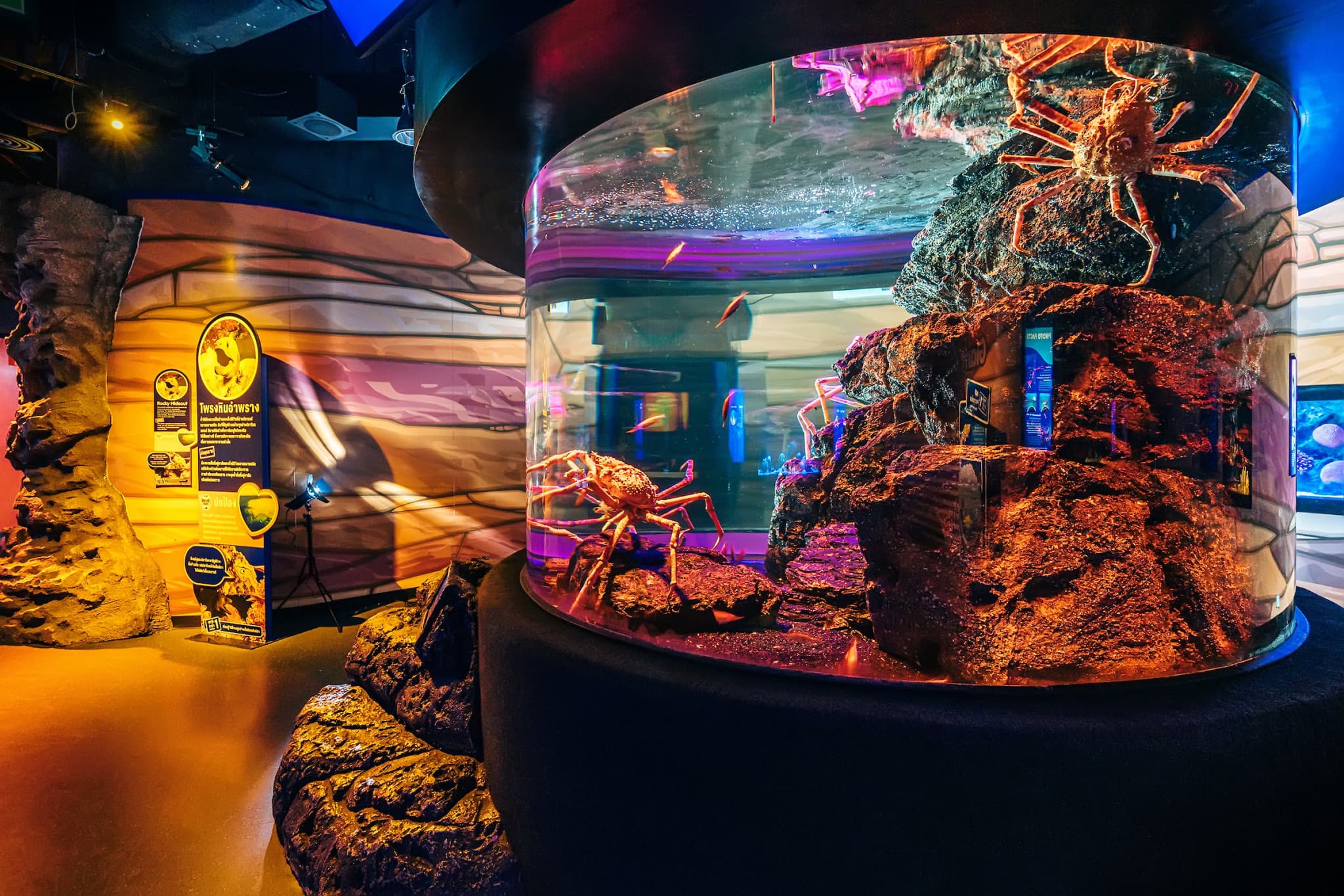 SEA LIFE Bangkok Ocean World Ticket - image 5