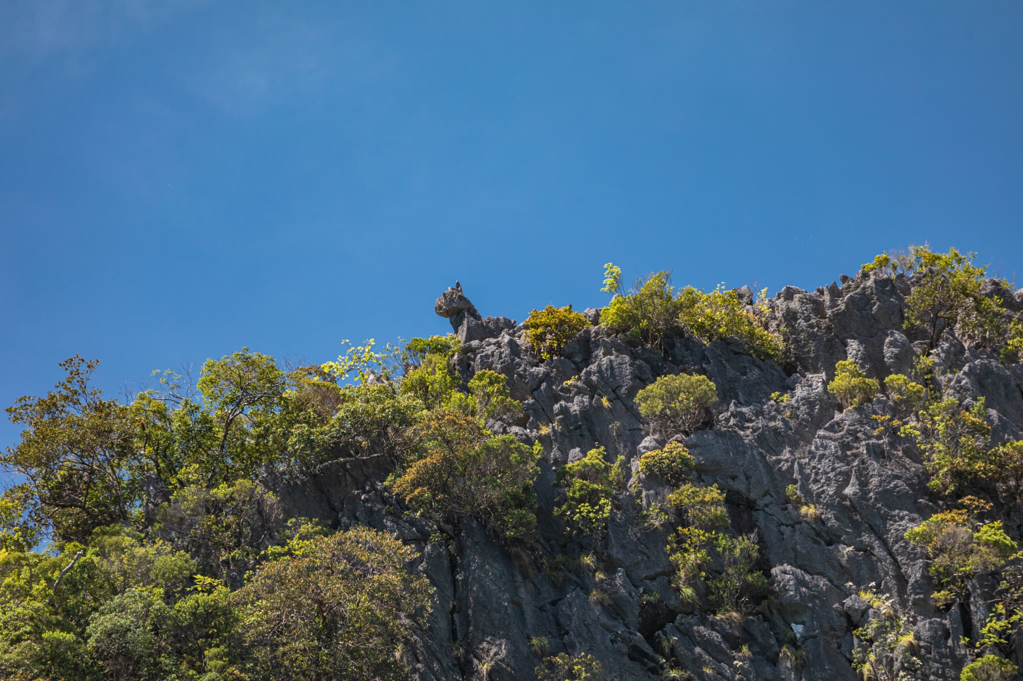 James Bond Island, Phang-Nga Bay, Hong Island, and Khai Island Tour from Phuket - image 5