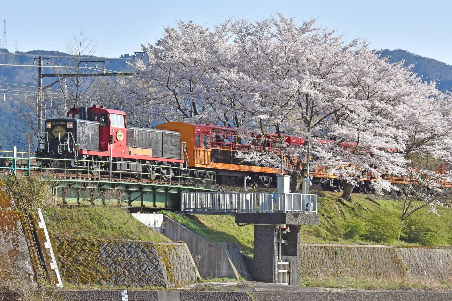 Sagano Romantic Train - image 9