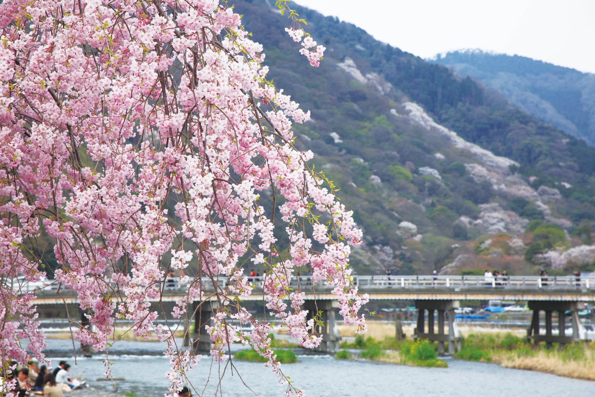 Hankyu One-Day Pass - image 3