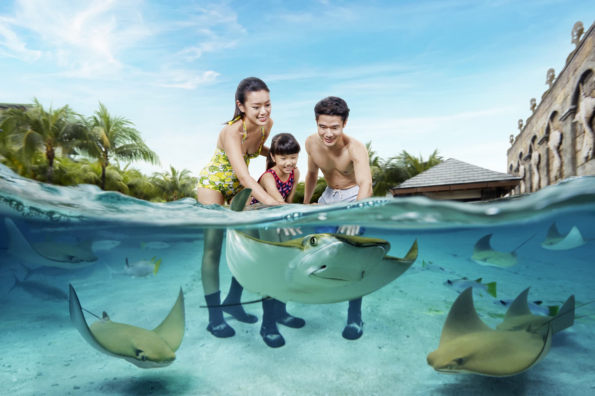 Adventure Cove Waterpark‎ Express Pass - image 6