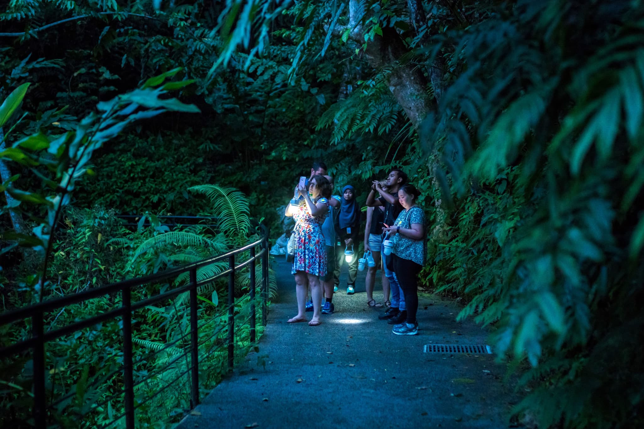 The Habitat Penang Hill Ticket - image 22