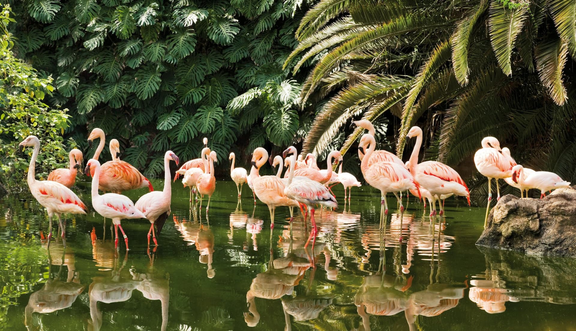 Entrada a Loro Parque - imagen 9