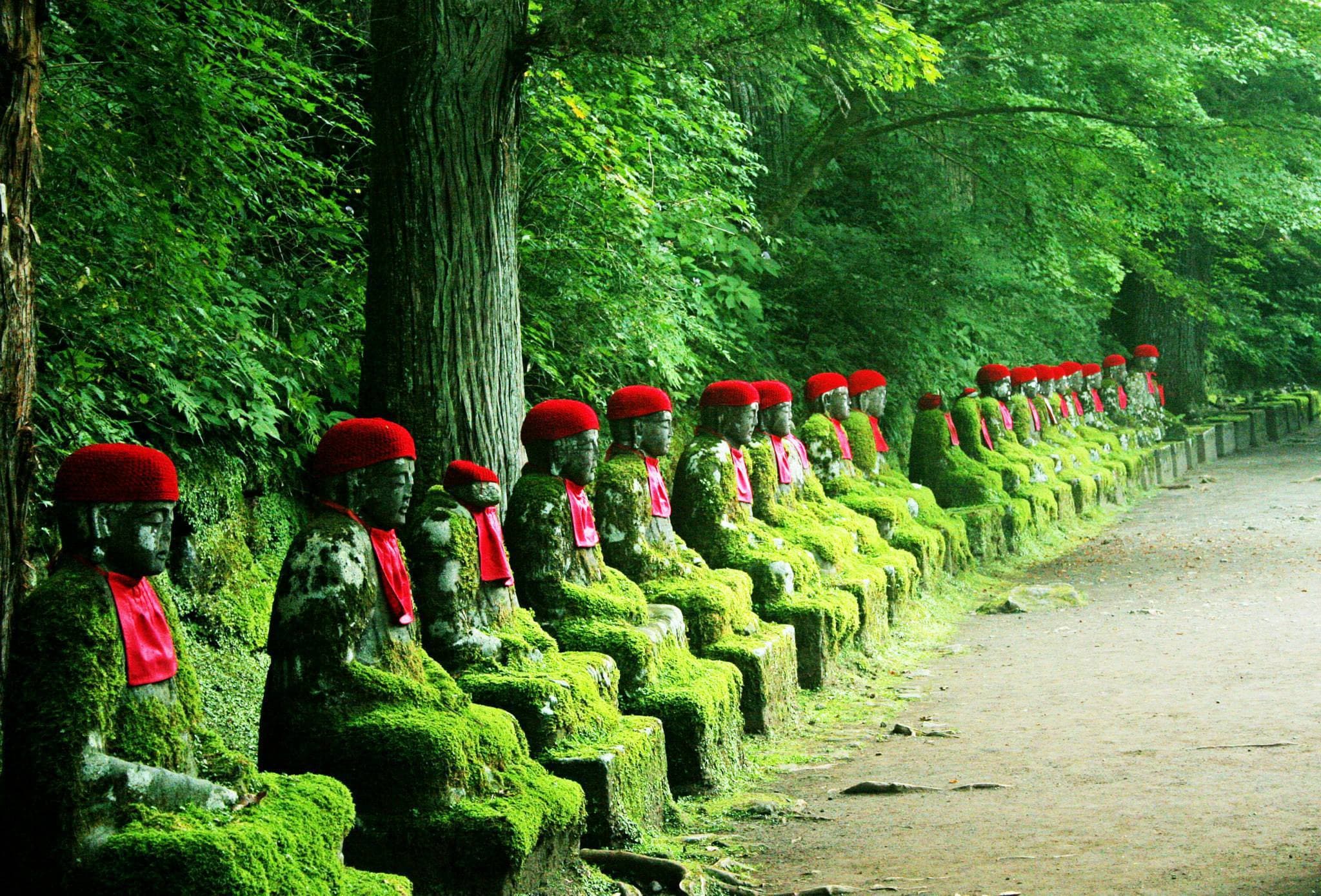 Nikko Pass - World Heritage Area - image 3