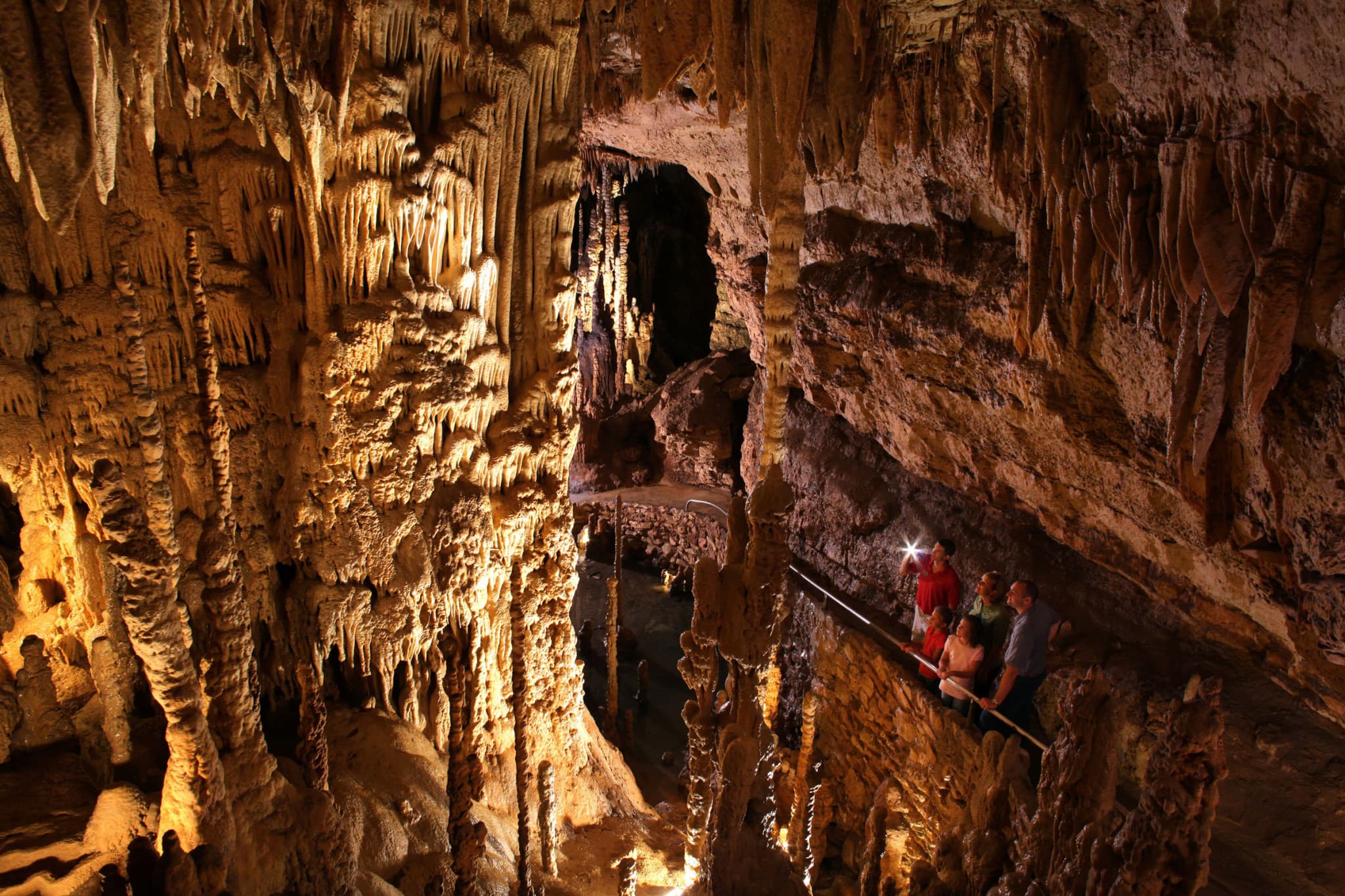 Go City San Antonio Essentials Pass: 3 Attractions - image 2