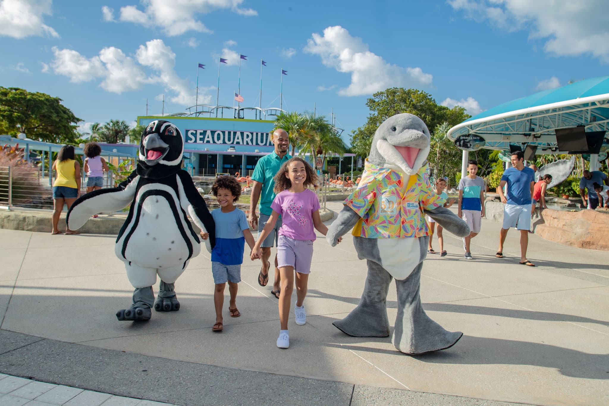 Go City Miami All-Inclusive Pass: Save up to 50% on Attractions - image 12