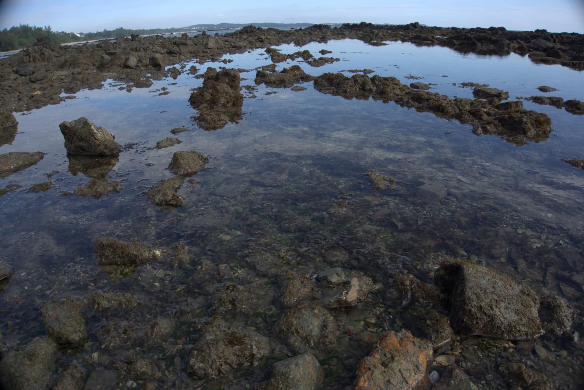 Desaru Beach and Tide Pool Walk - image 30