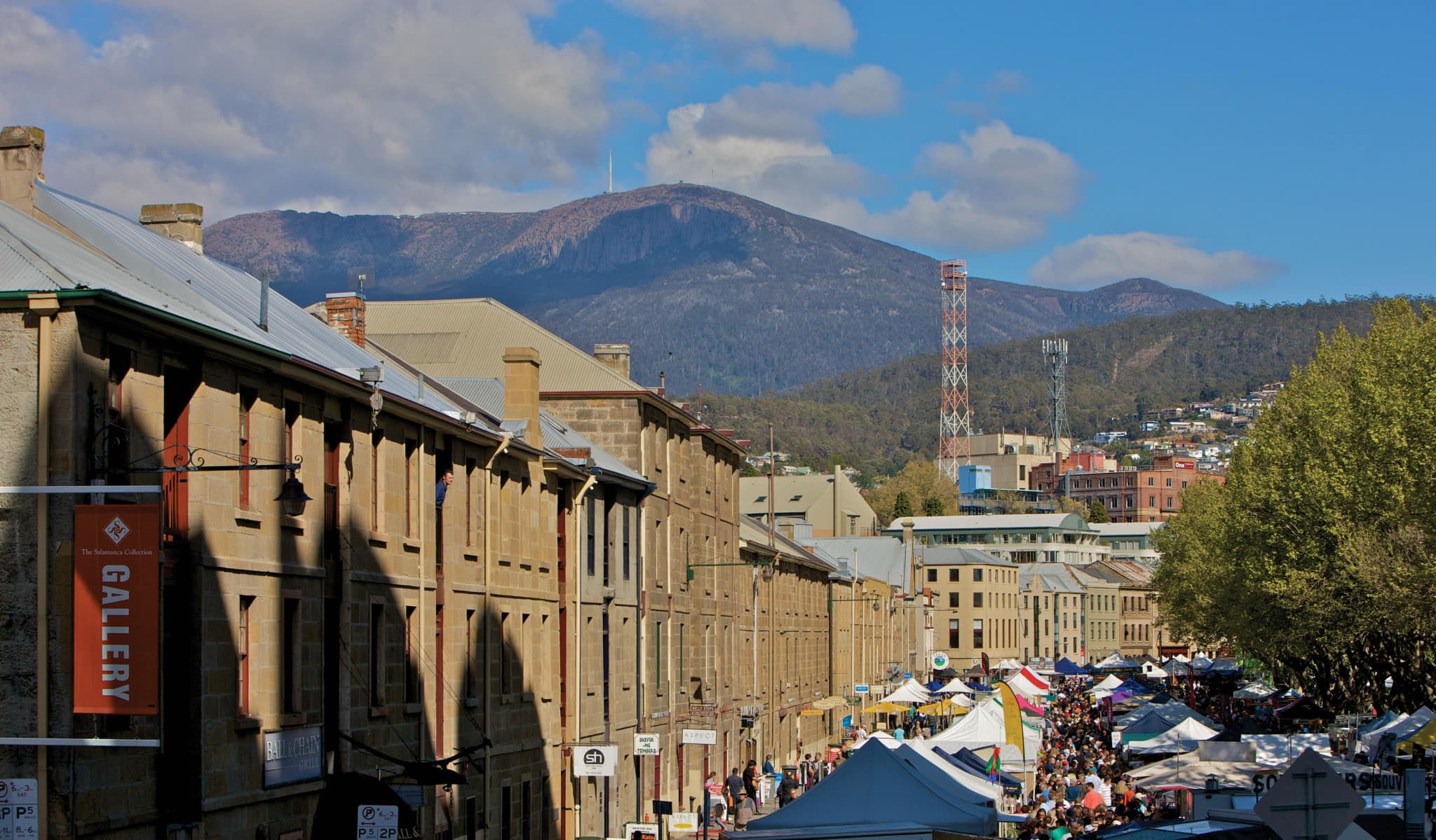 Bonorong Wildlife Sanctuary and Hobart City Tour - image 15