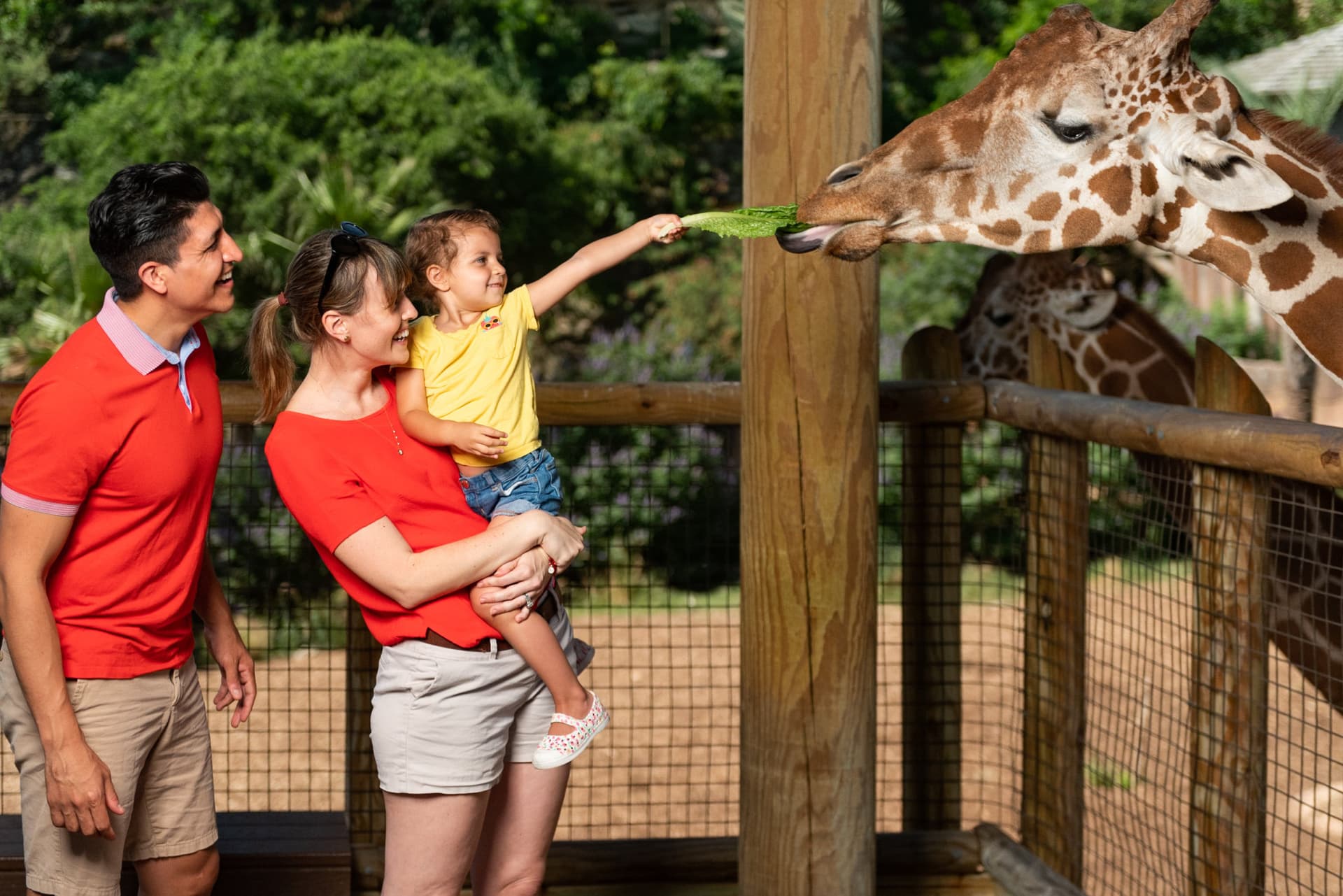 Go City San Antonio Essentials Pass: 3 atracciones - imagen 4