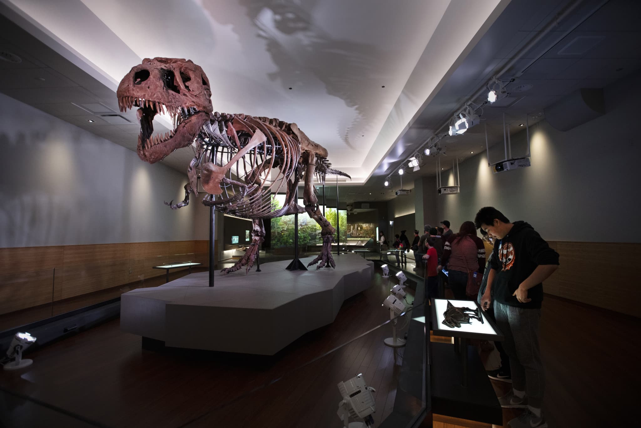 Go City Chicago All-Inclusive Pass: Save up to 50% on Attractions - image 32