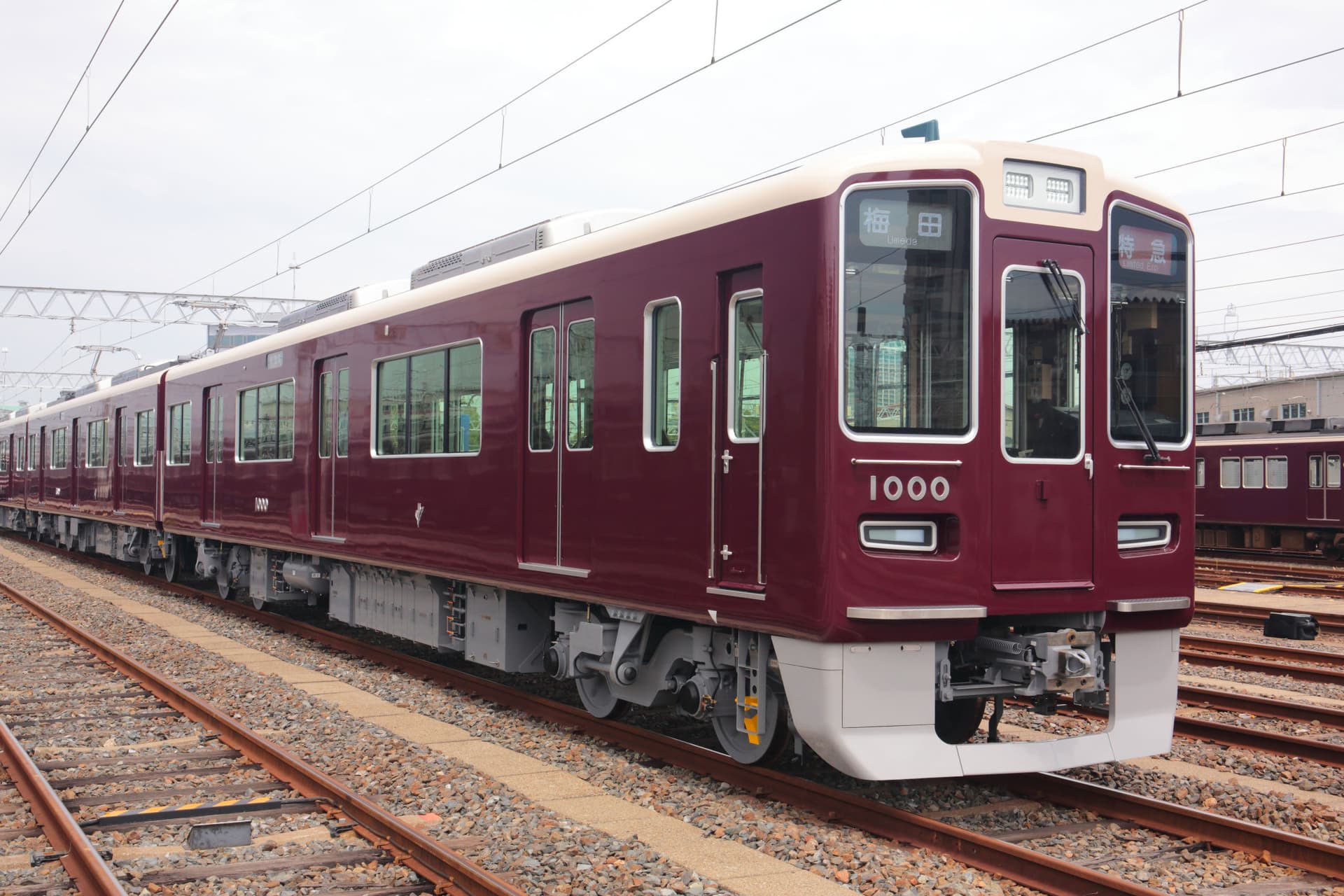 Kansai Railway Pass - image 4