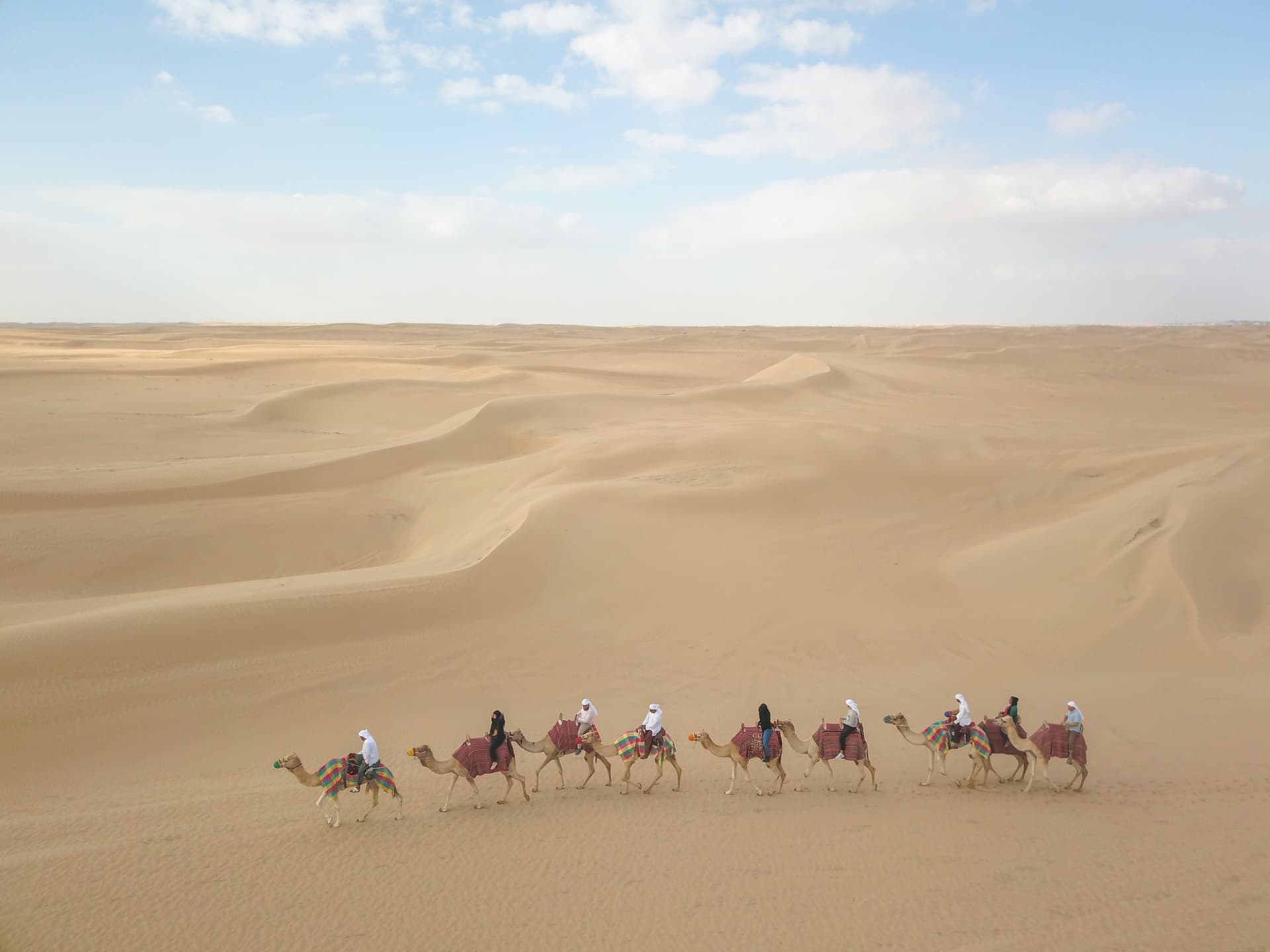 Half-Day Desert Safari, Camel Ride with Refreshments - image 2
