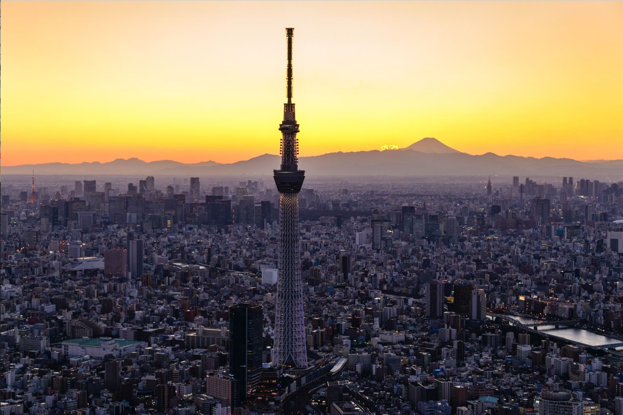 COMBO: Tokyo Skytree + teamLab Planets TOKYO Tickets - image 4