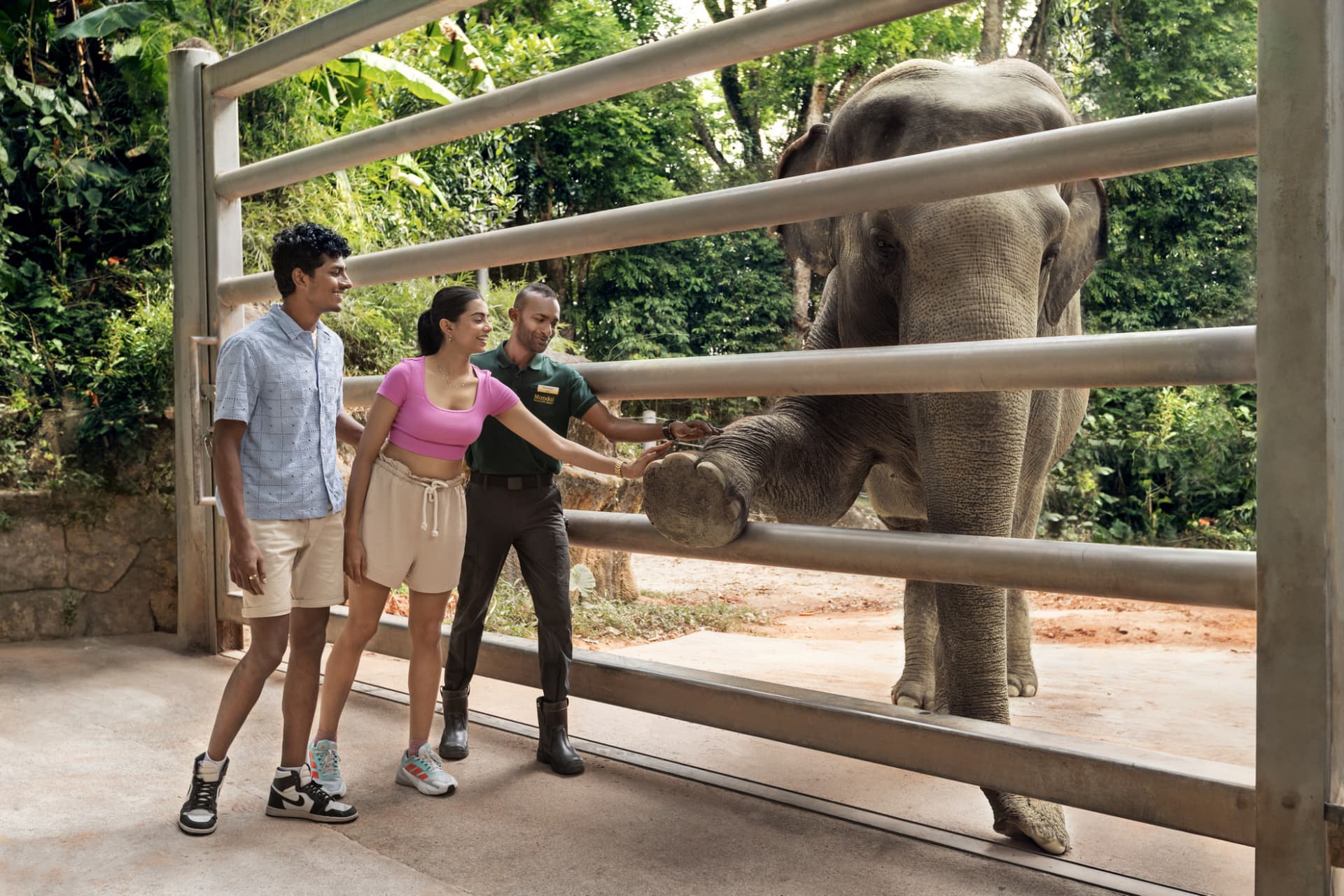 Singapore Zoo Ticket - image 10