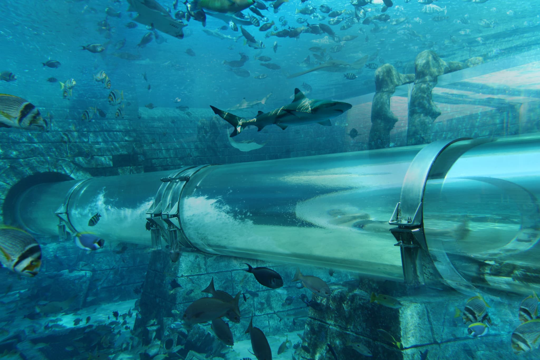 Atlantis Aquaventure World Dubai - The Lost World Aquarium Ticket - image 12