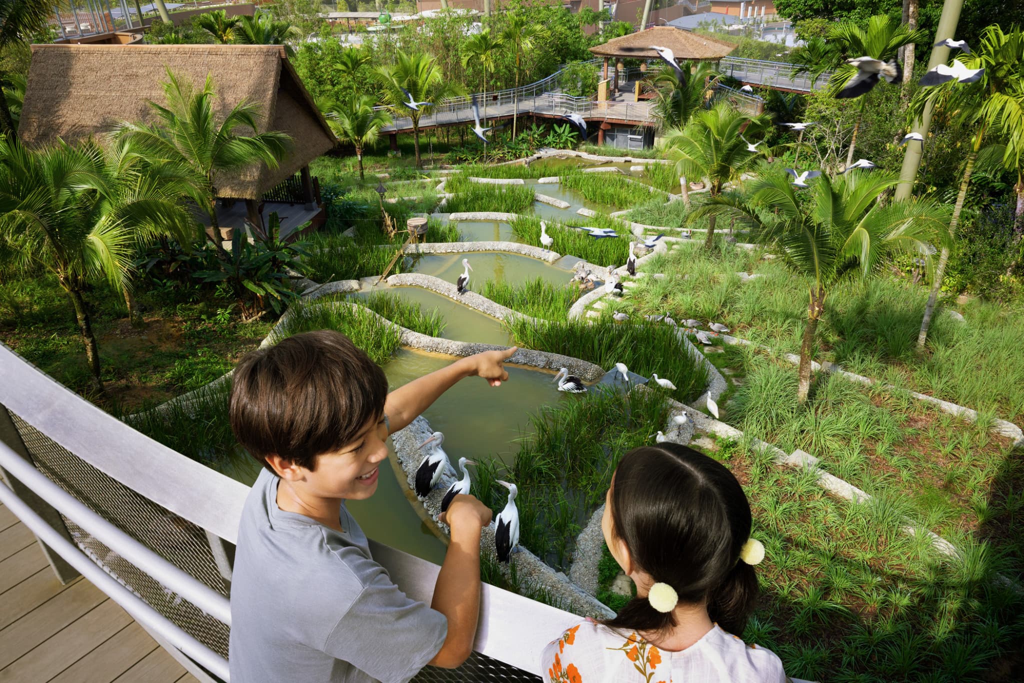Singapore Bird Paradise Ticket - image 9