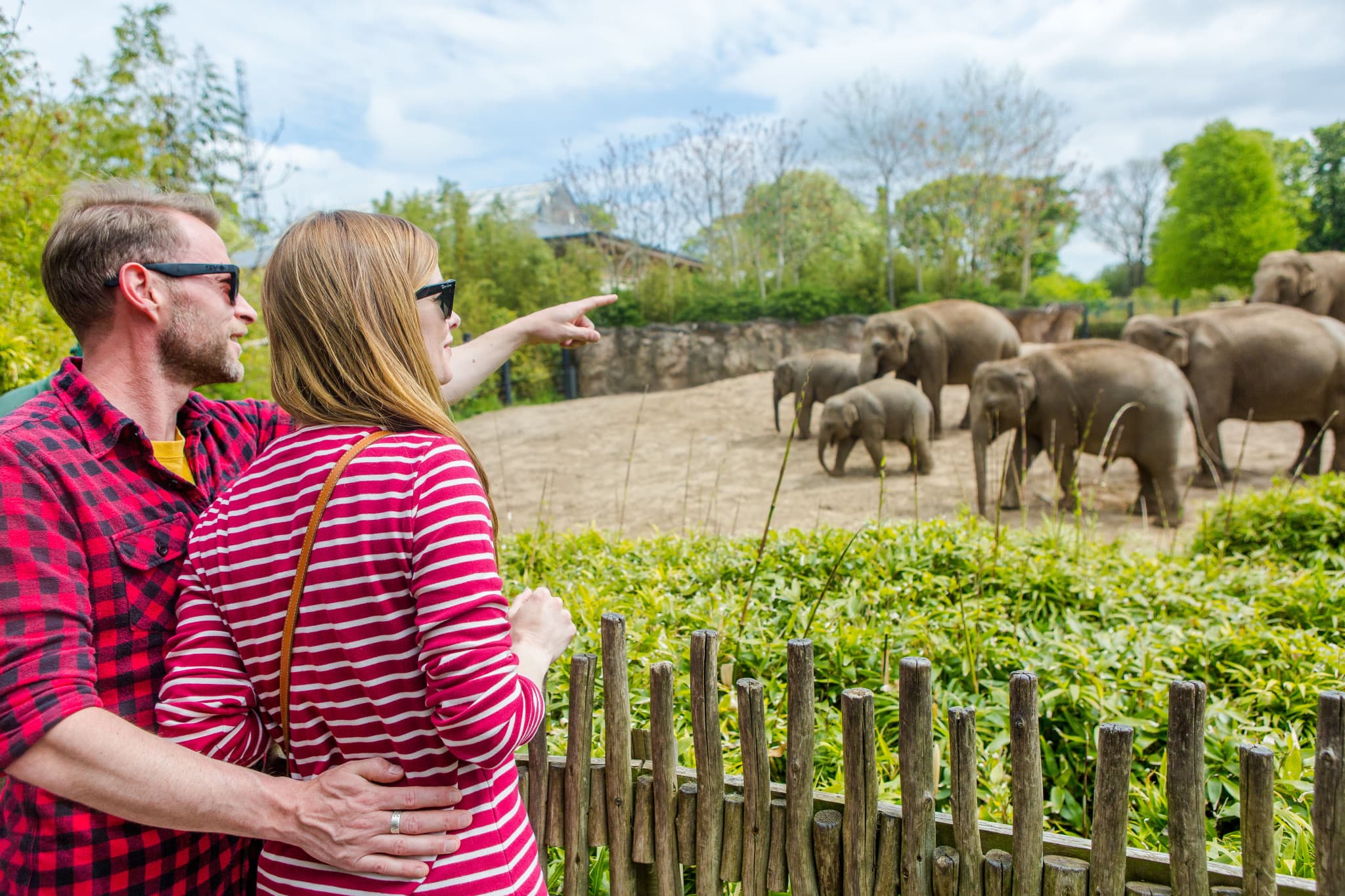 Go City Dublin Explorer Pass: Save up to 50% on Attractions - image 9