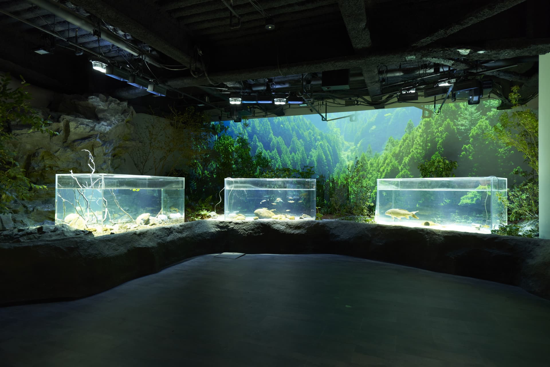 Entrada para el Acuario Kawasaki - imagen 11