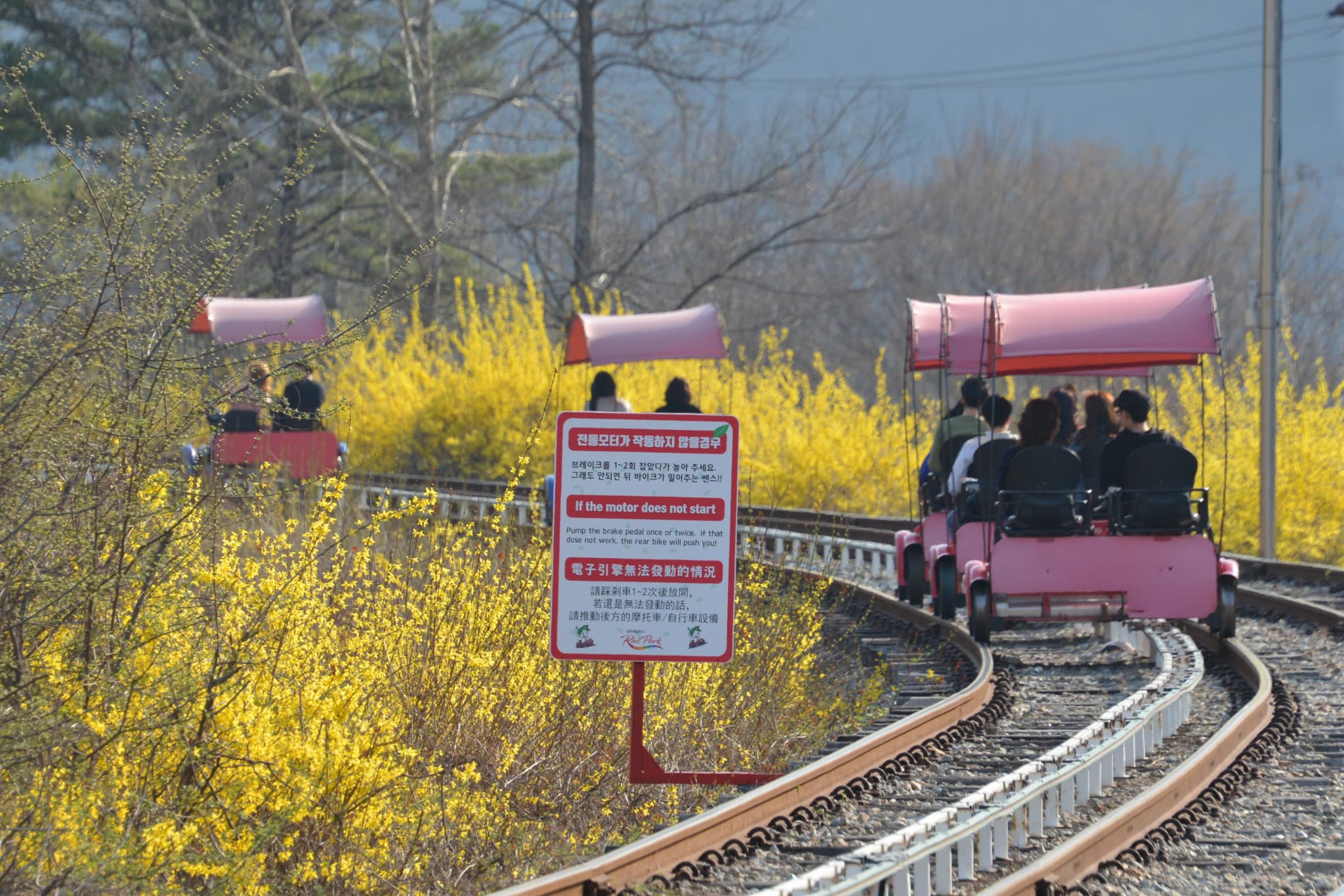 Nami Island, Petite France, Italian Village, and Gangchon Rail Bike Tour from Seoul - image 6