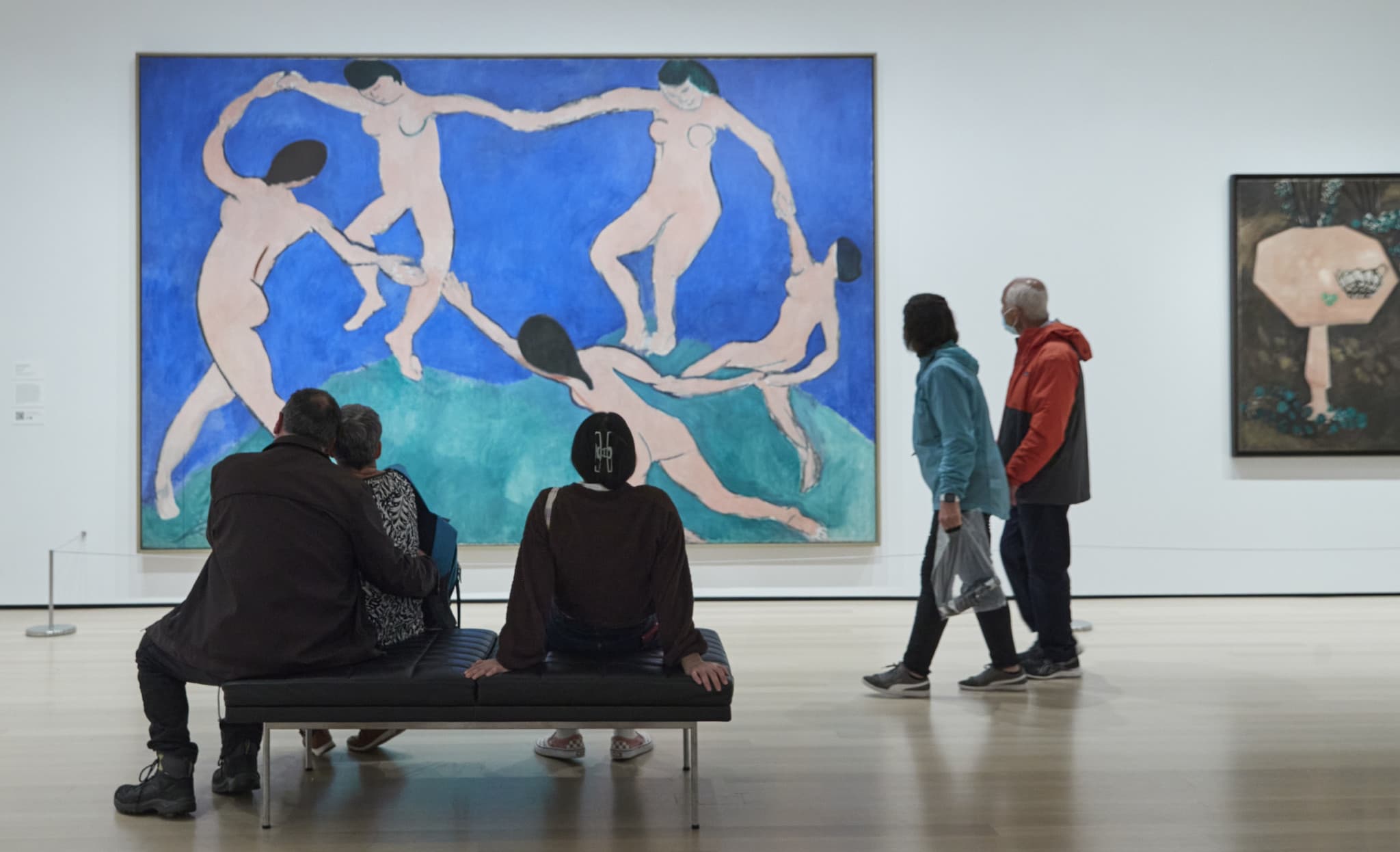 COMBO: American Museum of Natural History + The Museum of Modern Art (MoMA) Tickets - image 4