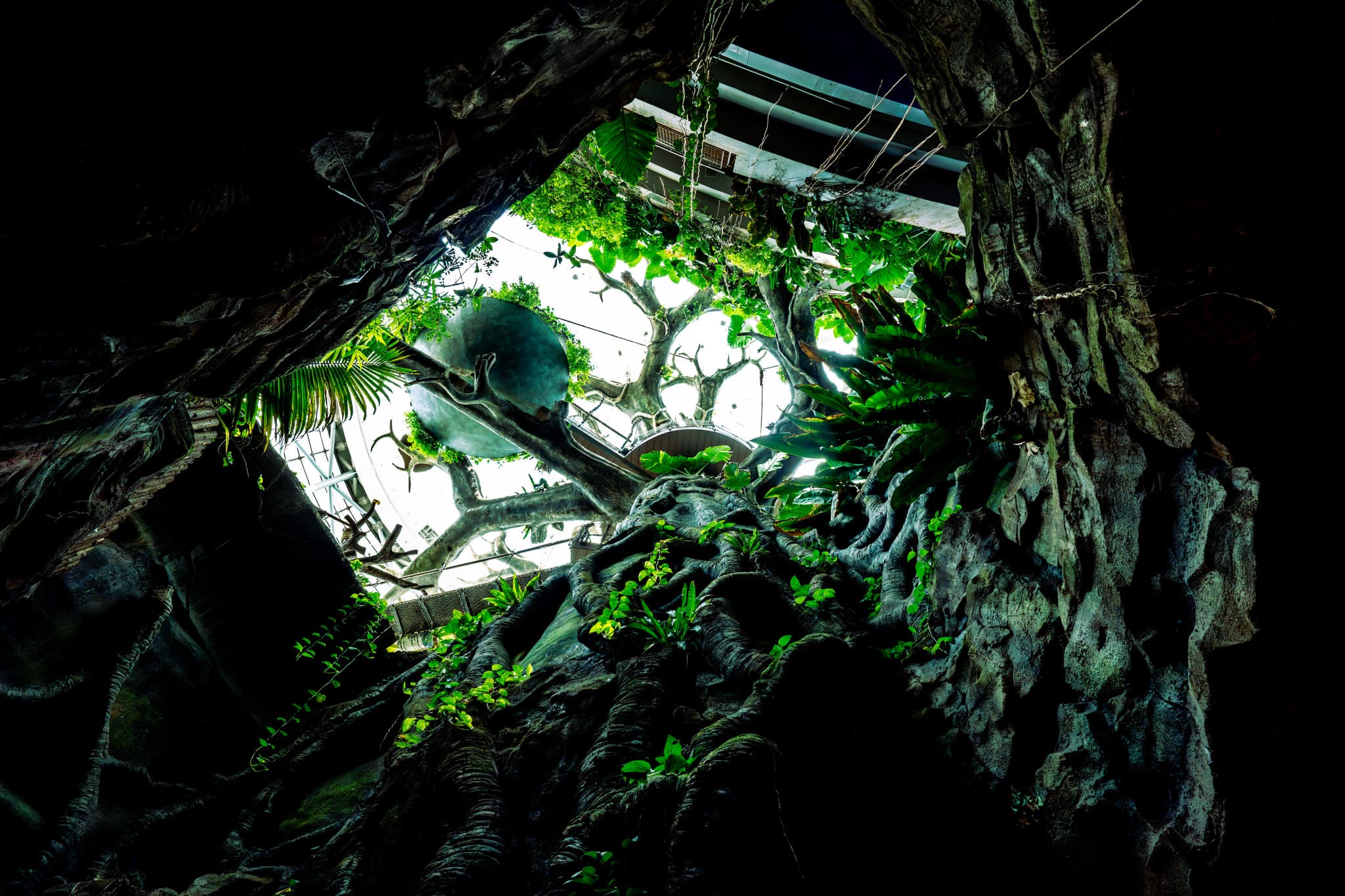 The Green Planet Dubai Ticket - image 8
