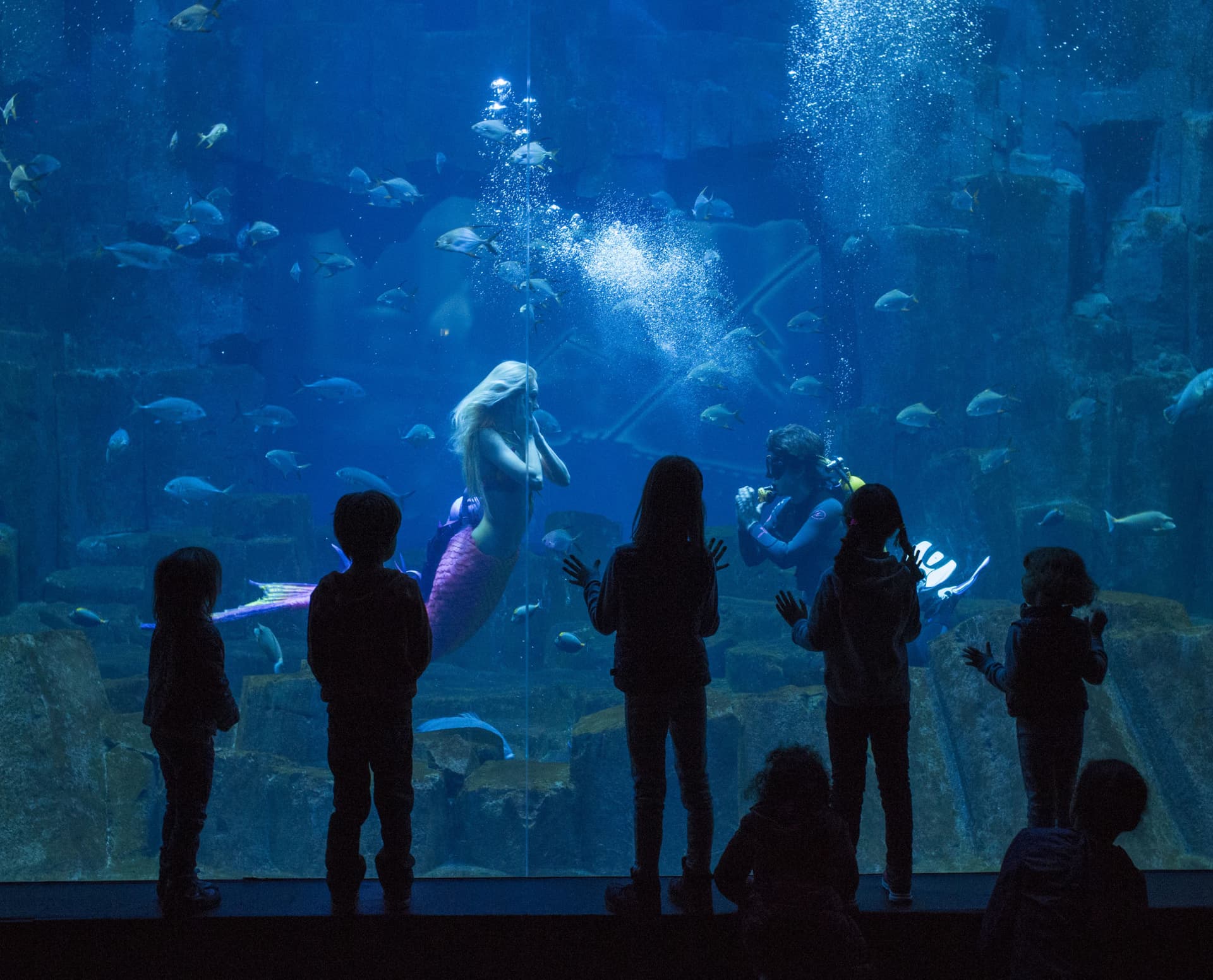 Go City Paris Explorer Pass: Save up to 50% on Attractions - image 11