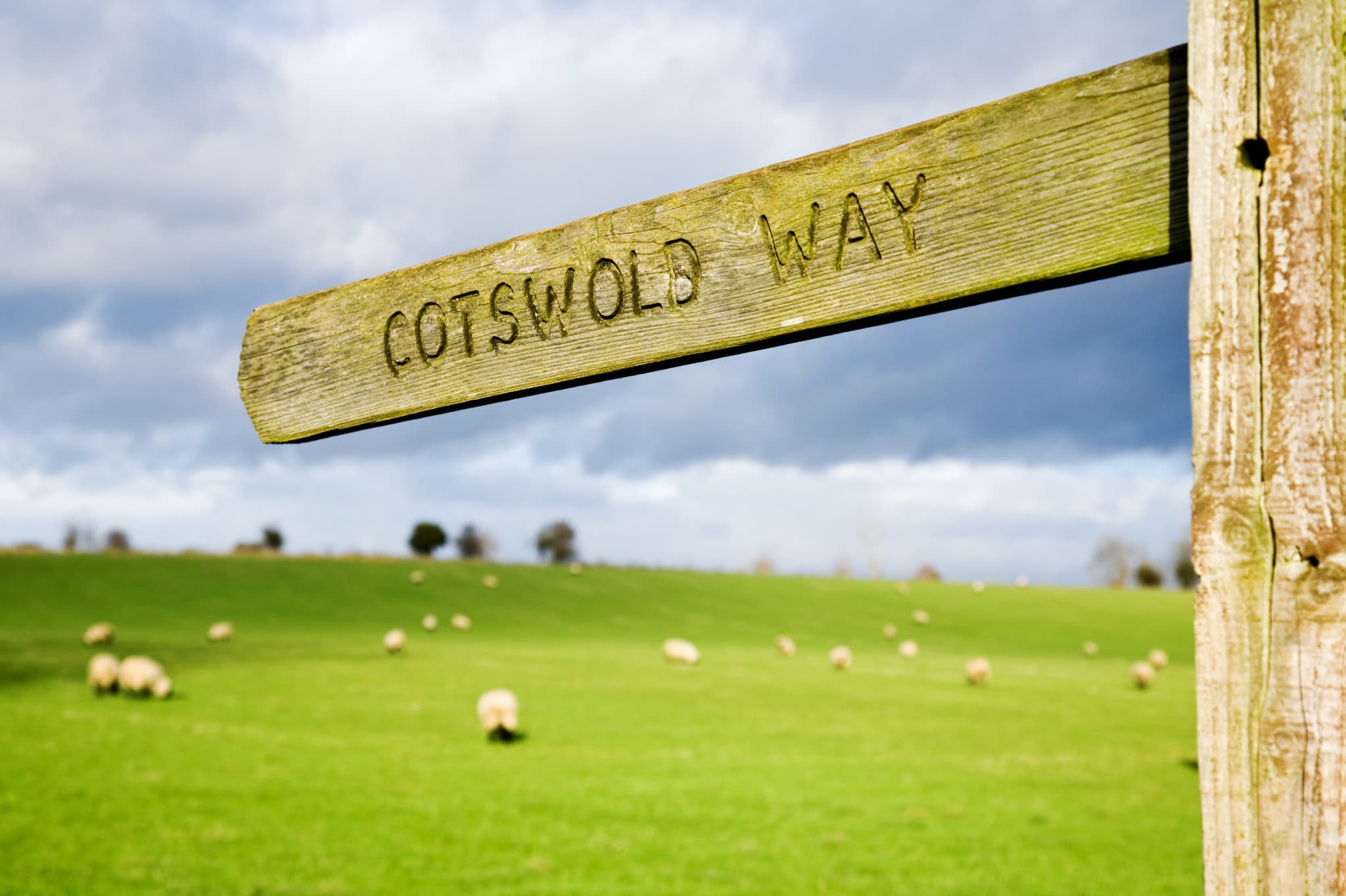 Cotswolds Tour from London with Lunch - image 15