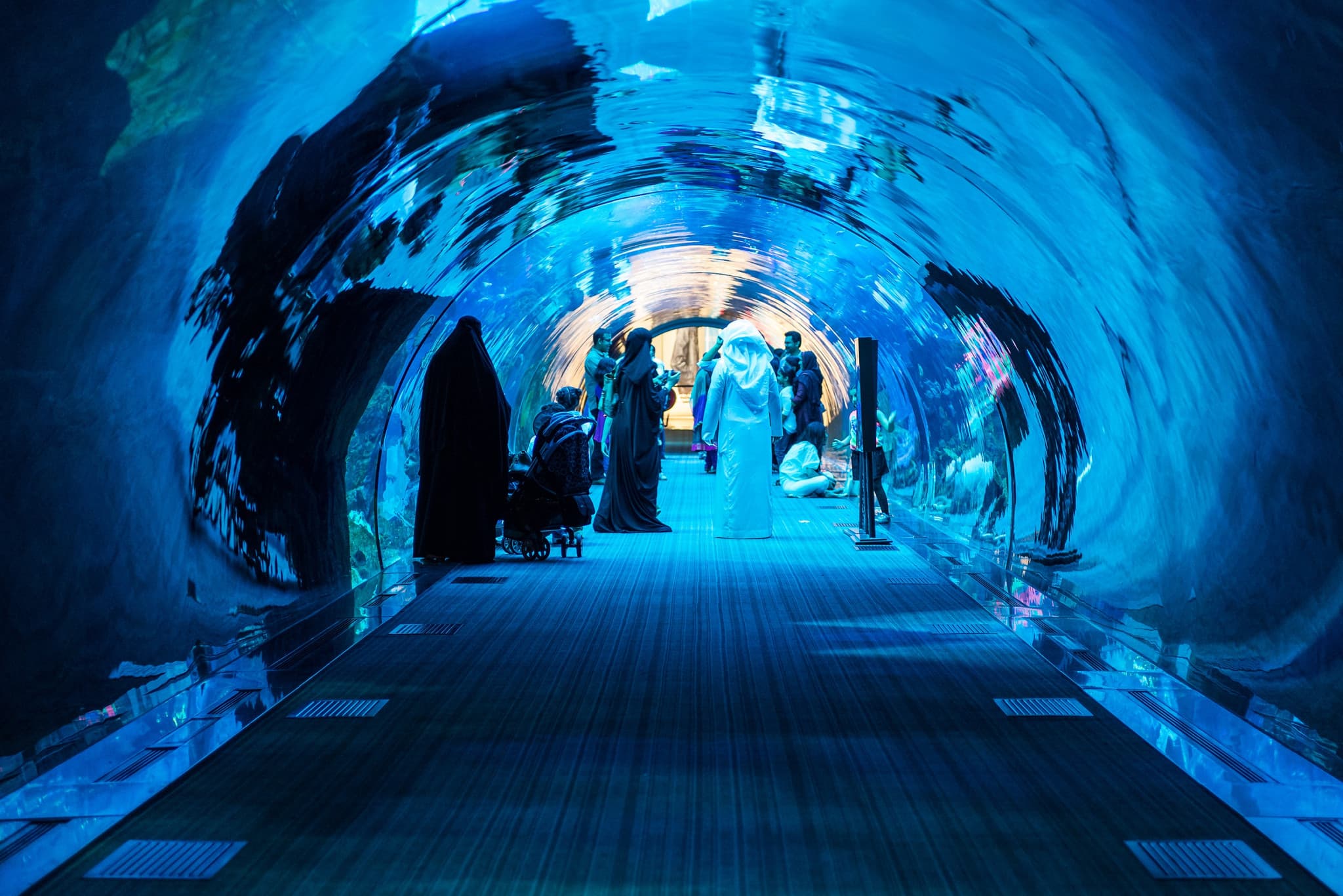 Dubai Aquarium and Underwater Zoo Ticket - main image