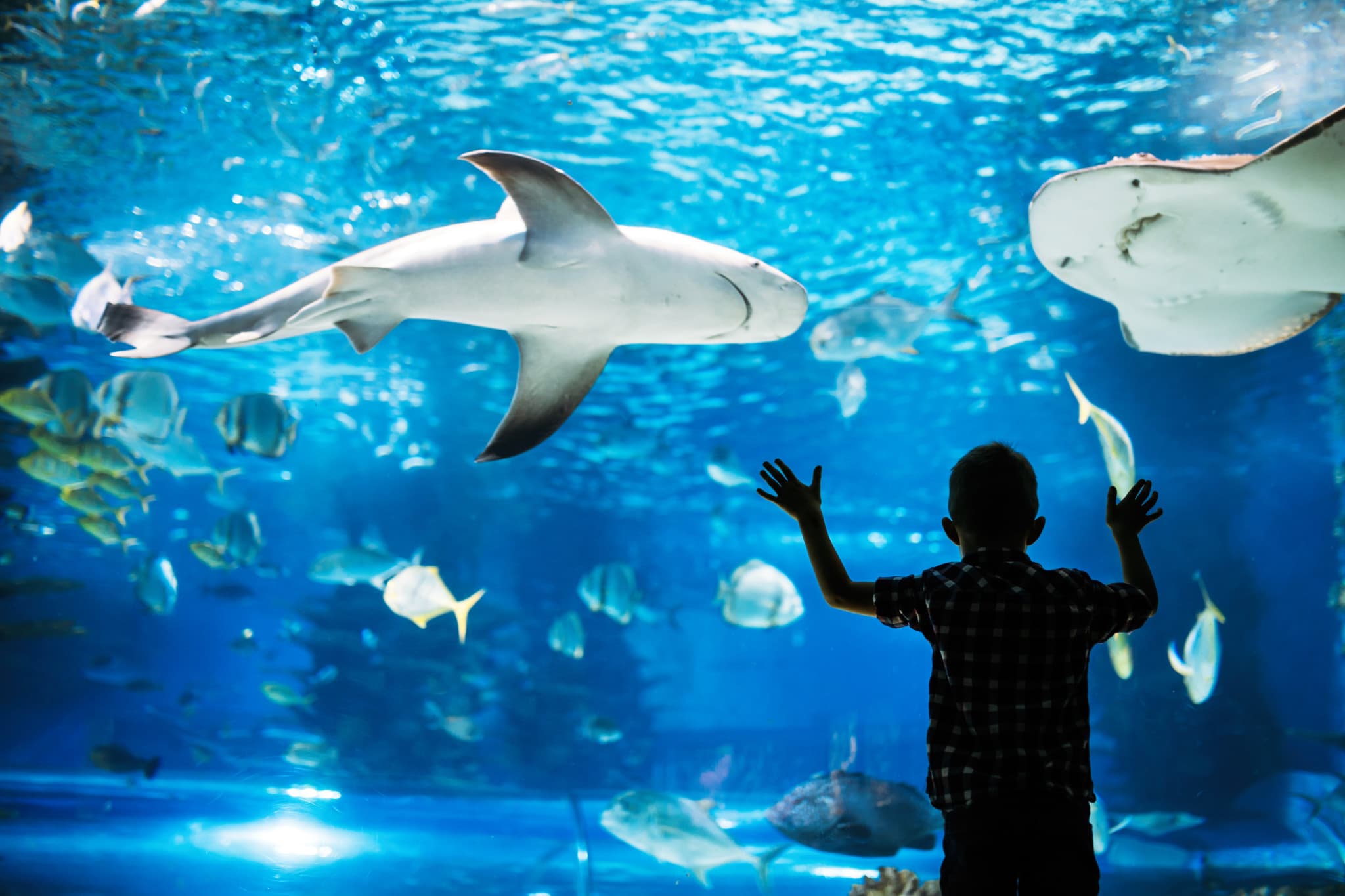 Go City Philadelphia All-Inclusive Pass: Save up to 50% on Attractions - image 2
