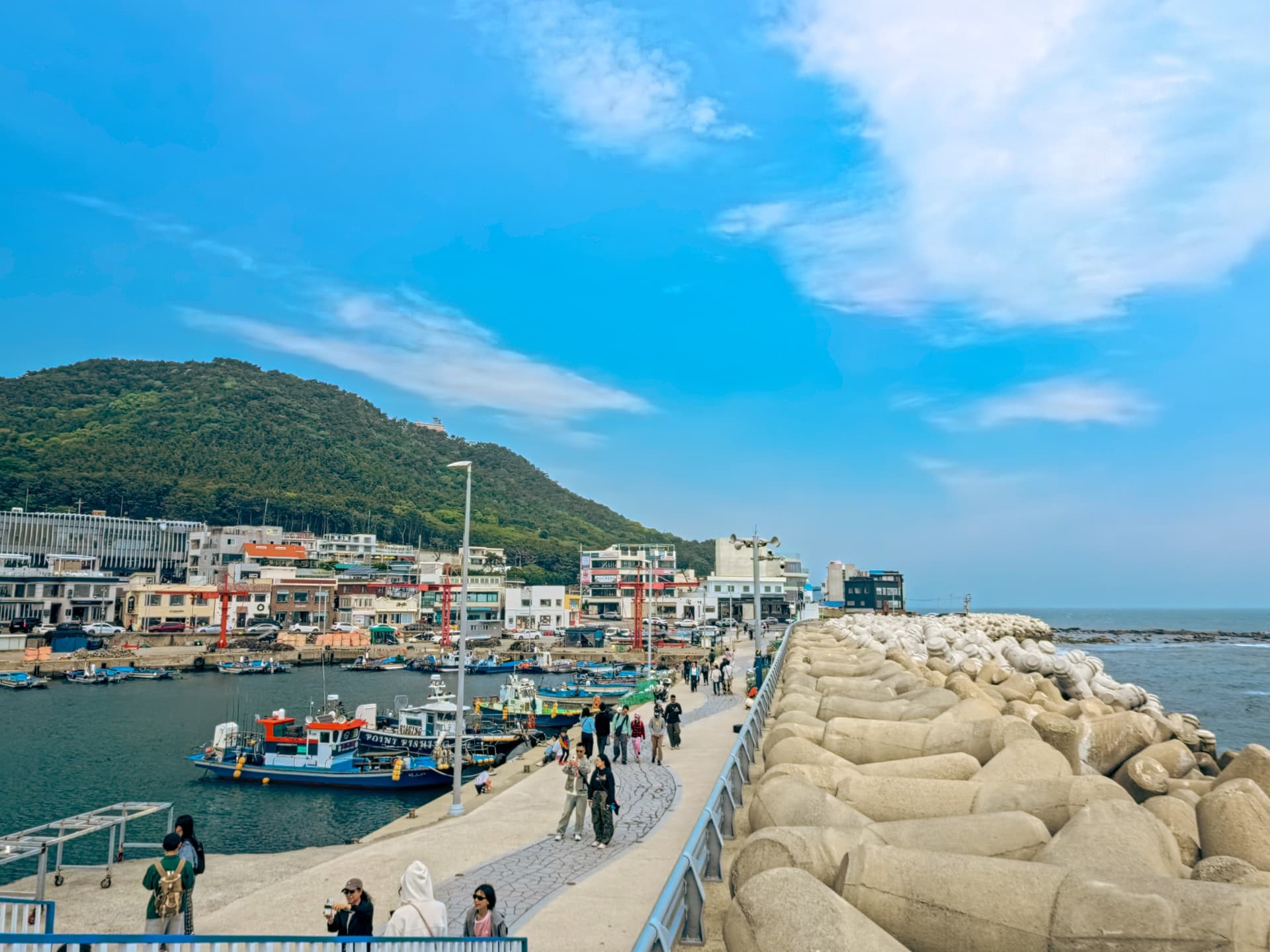 One Day Cultural Tour in Busan: Haedongyonggungsa Temple, Cheongsapo, Gamcheon Culture Village - main image